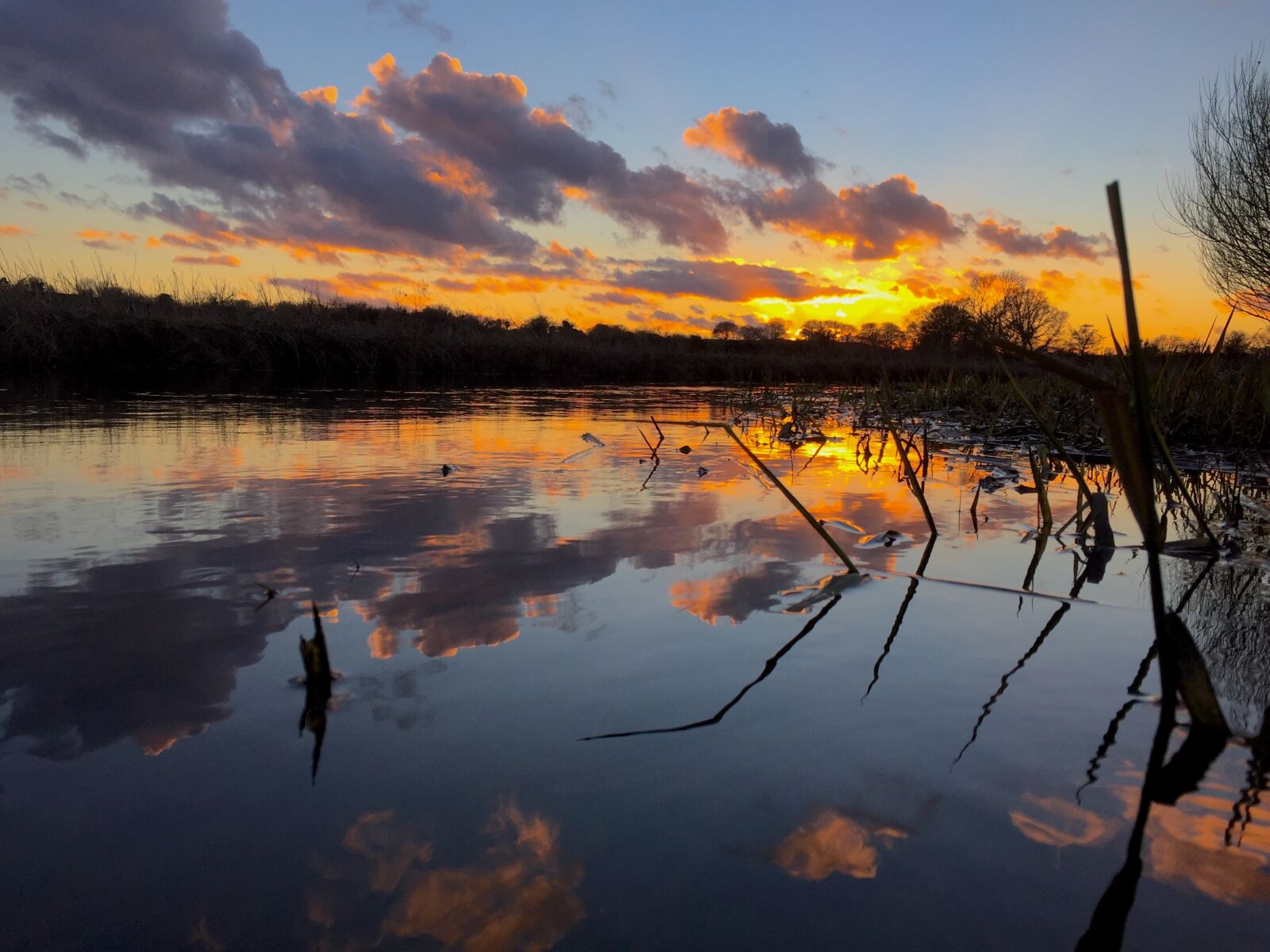 Apple iPhone 6 sample photo. Fishing, hickling broad, norfolk photography