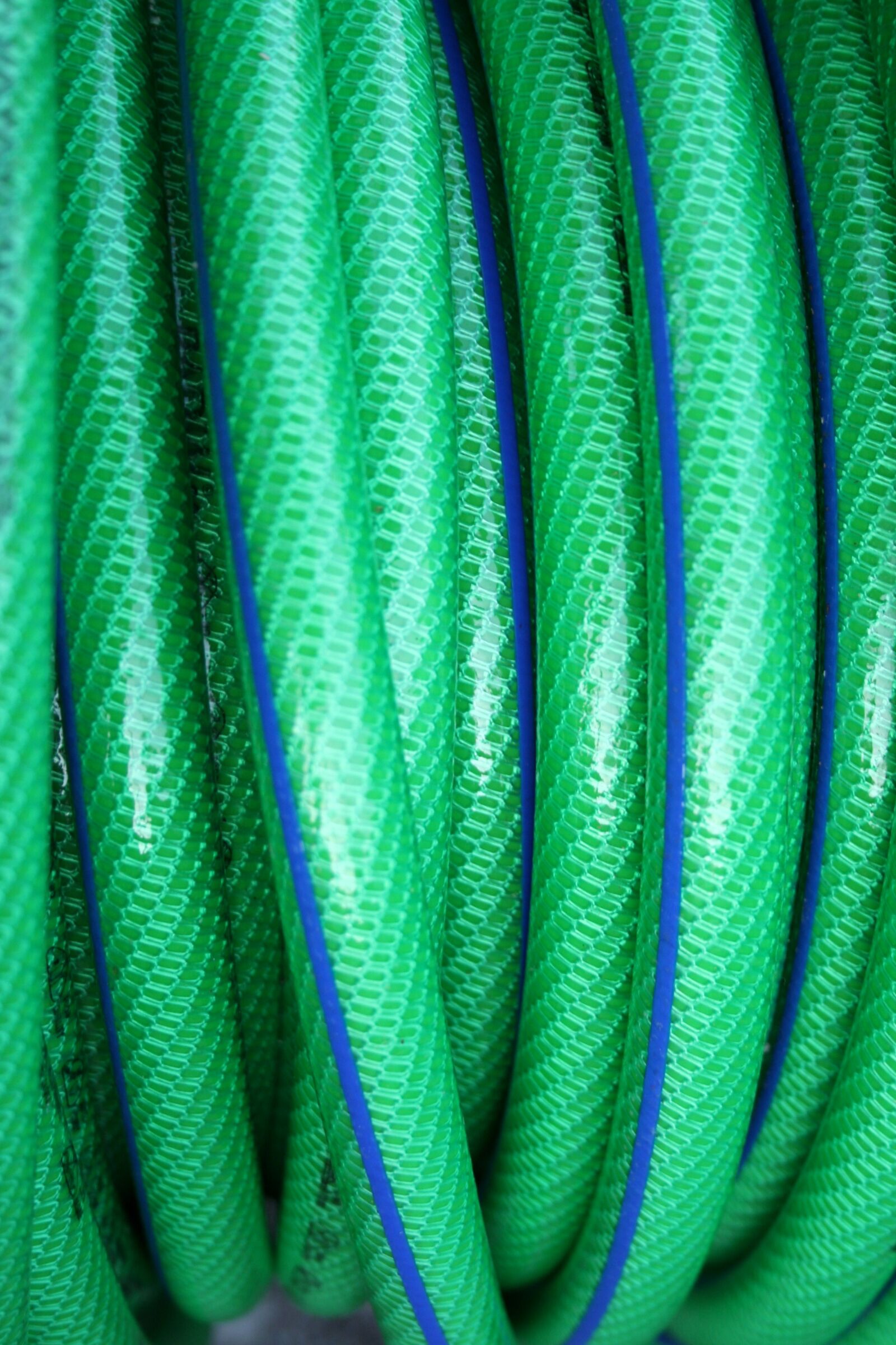 Canon EOS 350D (EOS Digital Rebel XT / EOS Kiss Digital N) sample photo. Green tube, garden hose photography