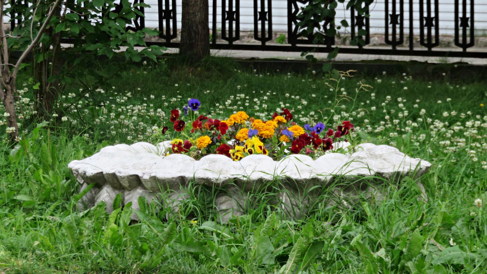 Canon PowerShot SX700 HS sample photo. Flowerbed, flowers, islet photography