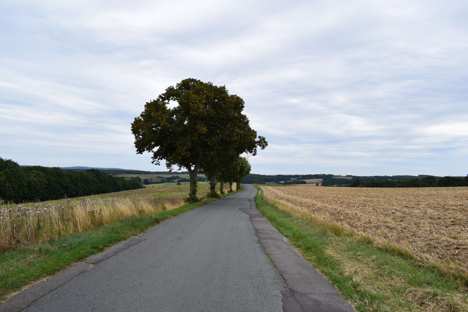 Nikon D5300 sample photo. Road, loneliness, landscape photography