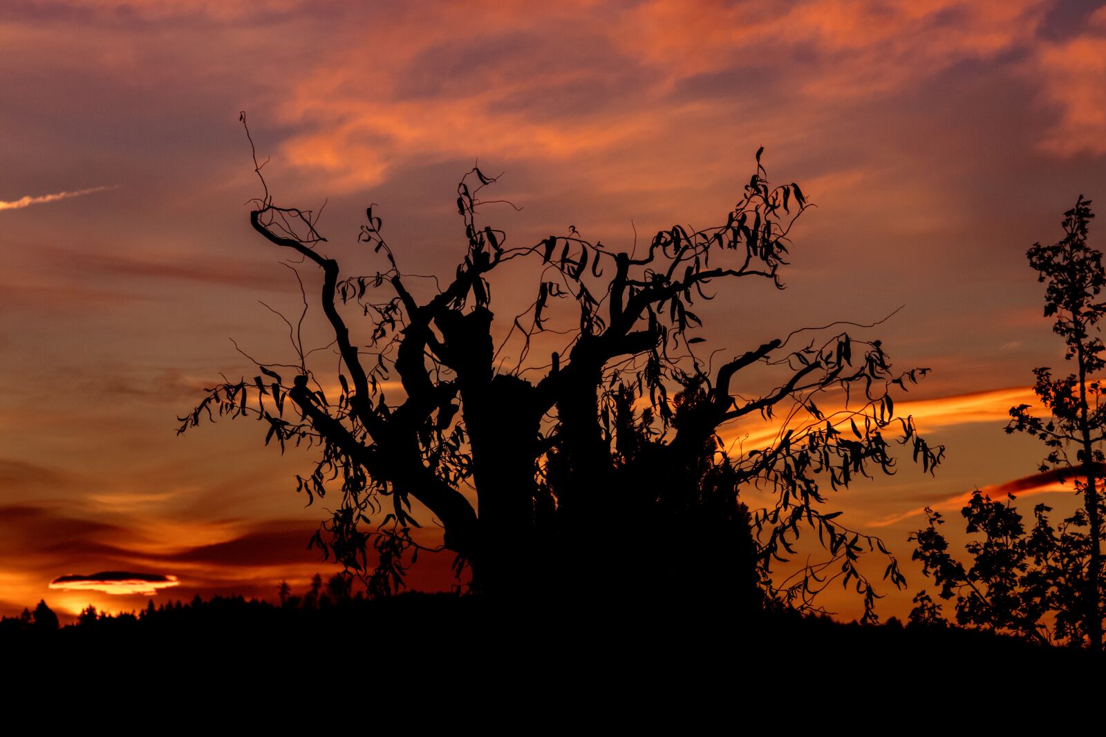Canon EF-S 55-250mm F4-5.6 IS STM sample photo. Sunrise, sky, mood photography