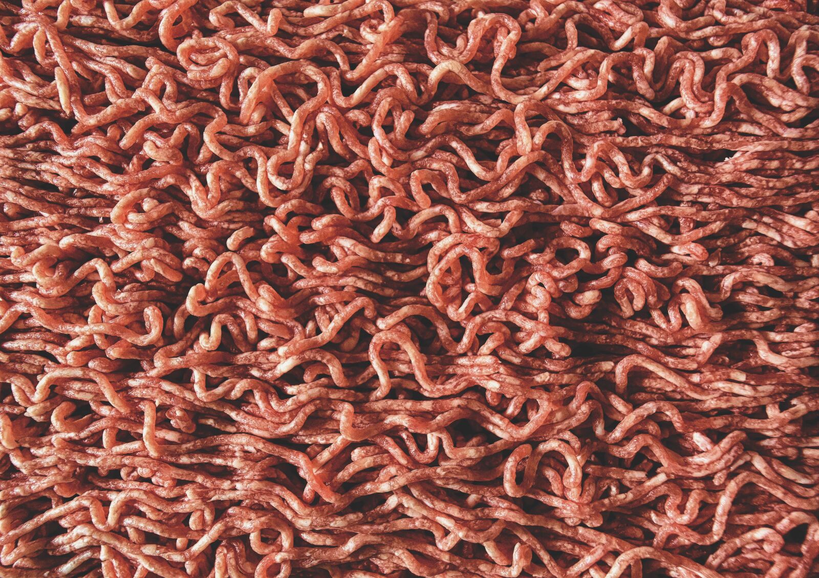 Nikon D7200 sample photo. Minced meat, raw, eat photography