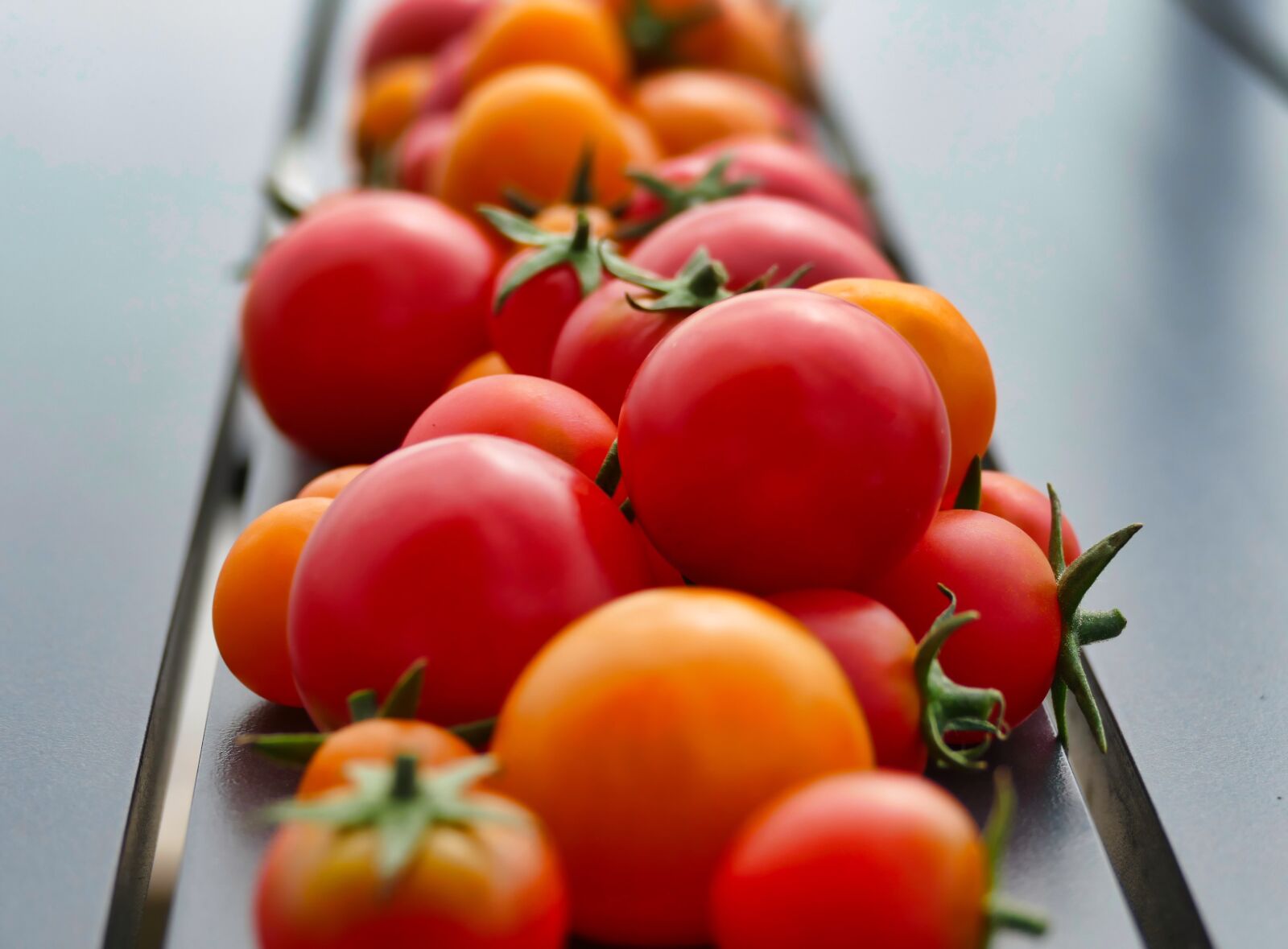 Panasonic Lumix DMC-FZ1000 sample photo. Tomatoes, red, vegetables photography