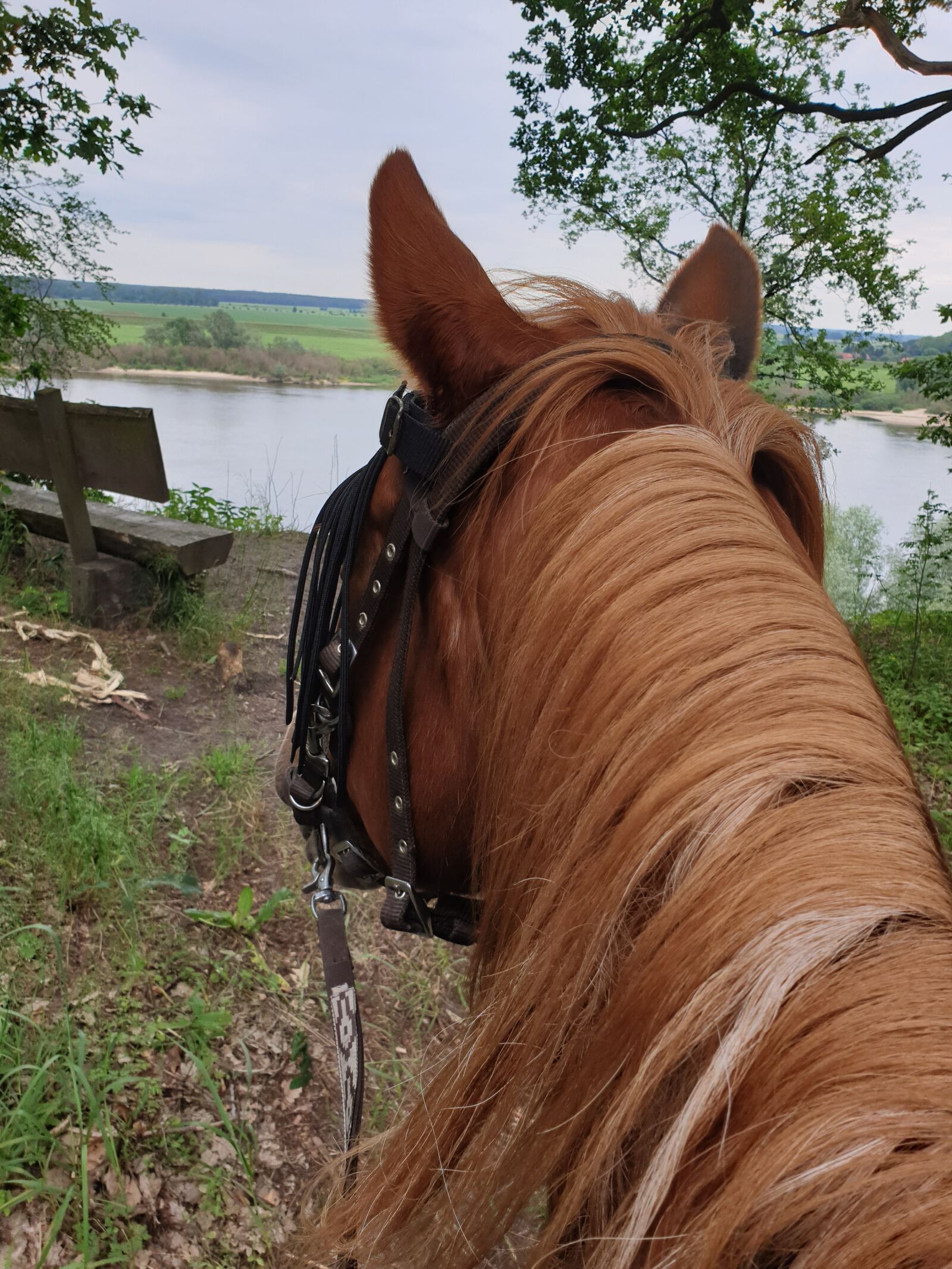 Samsung Galaxy S9 sample photo. Wendland, elbe, view photography