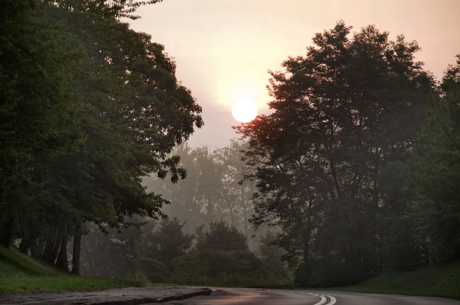 Nikon D300 sample photo. Morning, nature, mood photography