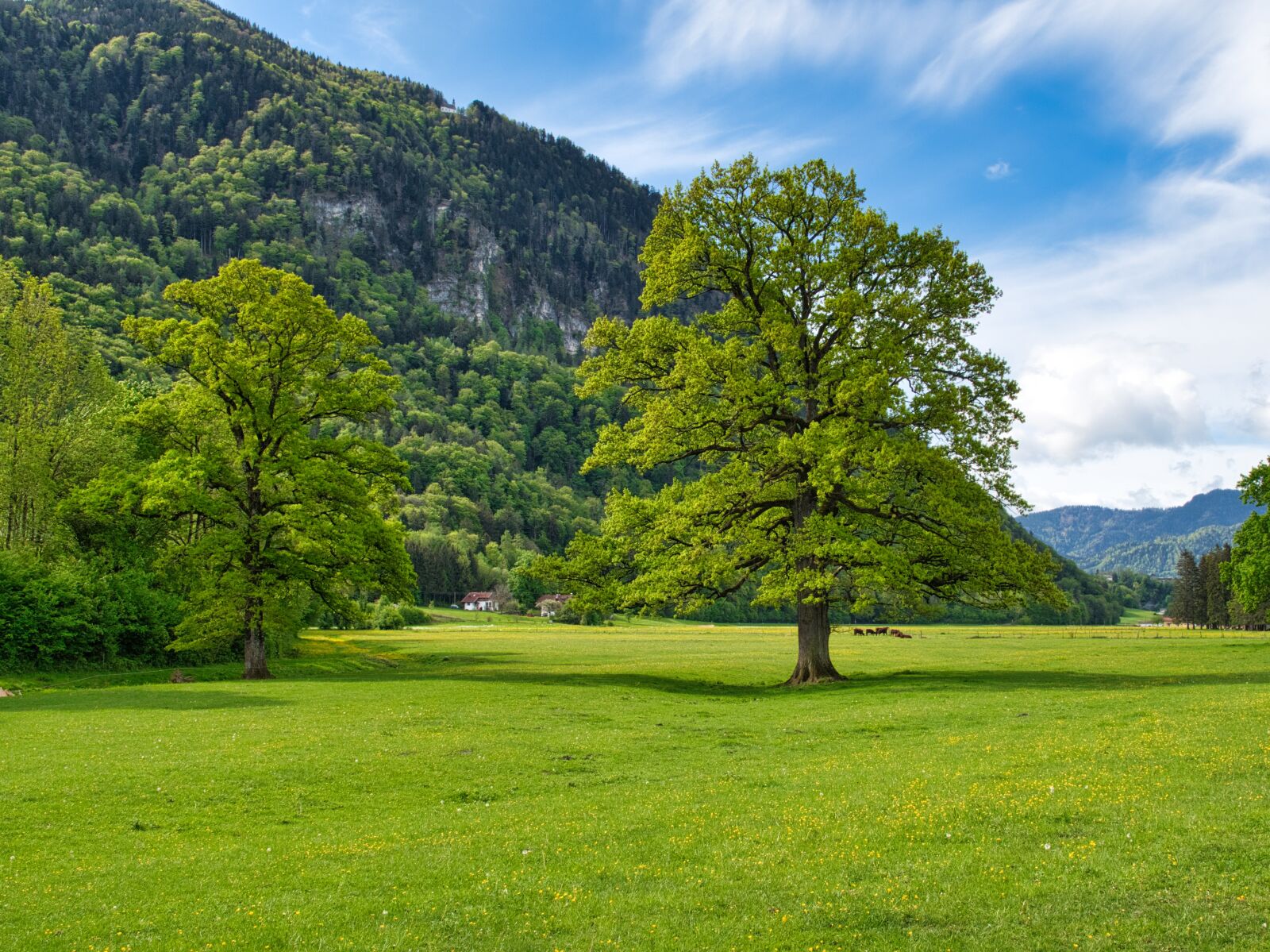 Nikon D7500 sample photo. Landscape, upper bavaria, chiemgau photography