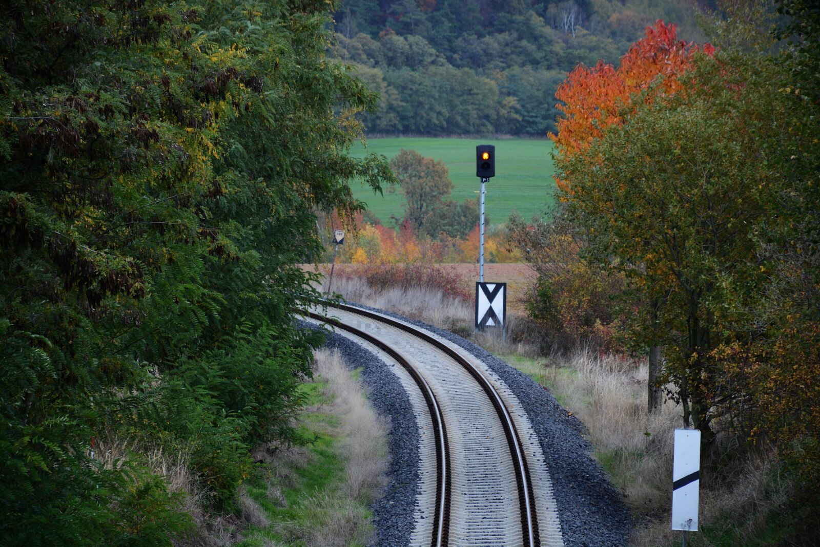 Nikon D7100 sample photo. Autumn, foliage, nature photography