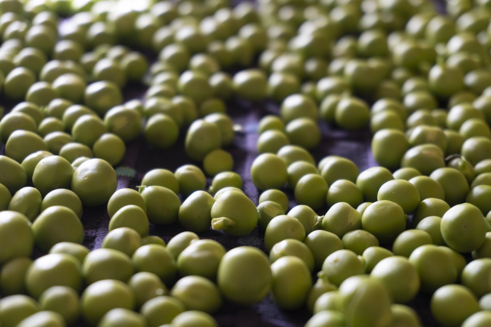 Sony a6300 sample photo. Peas, green, nutrition photography