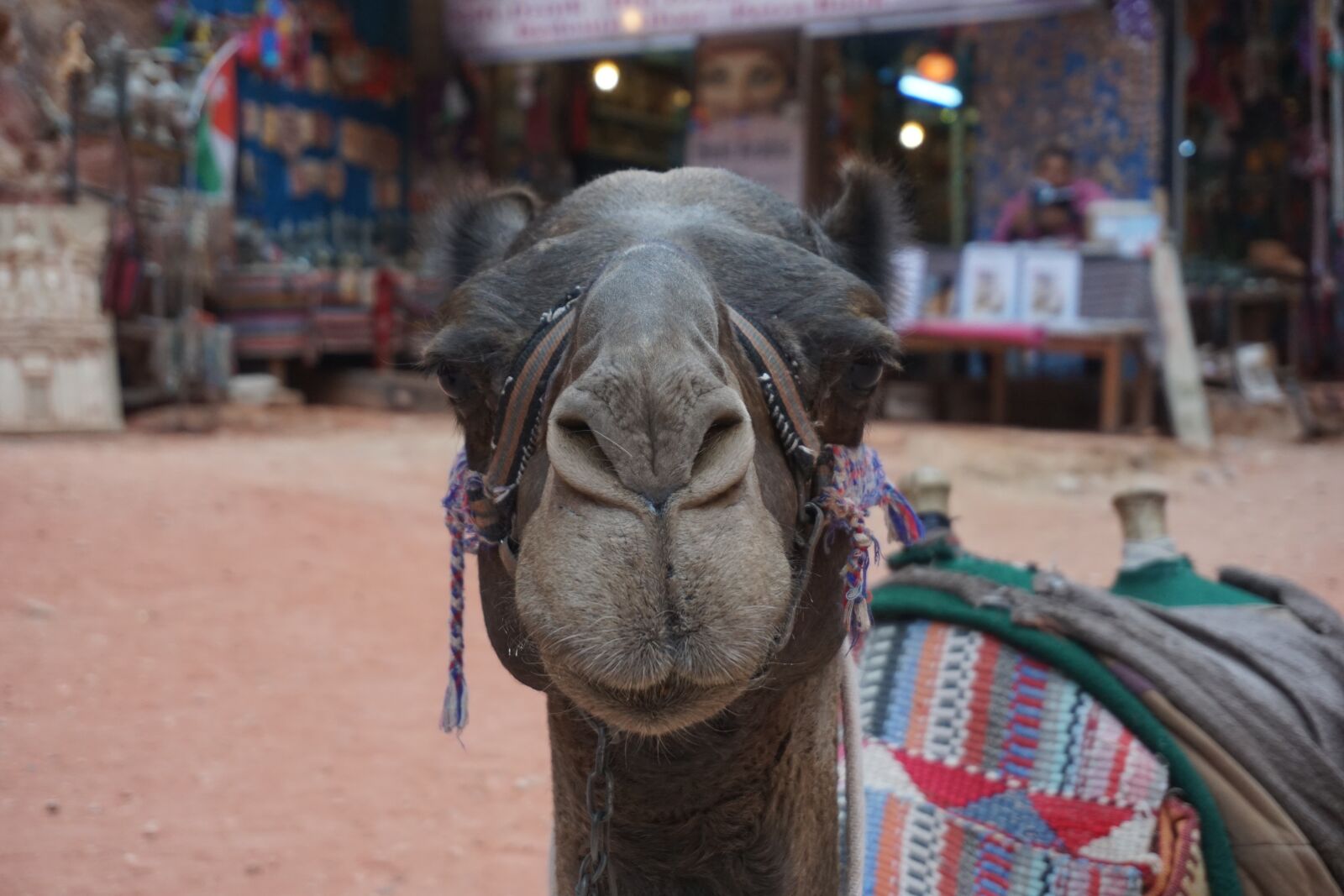 Sony a6000 sample photo. Travel, tourism, culture photography