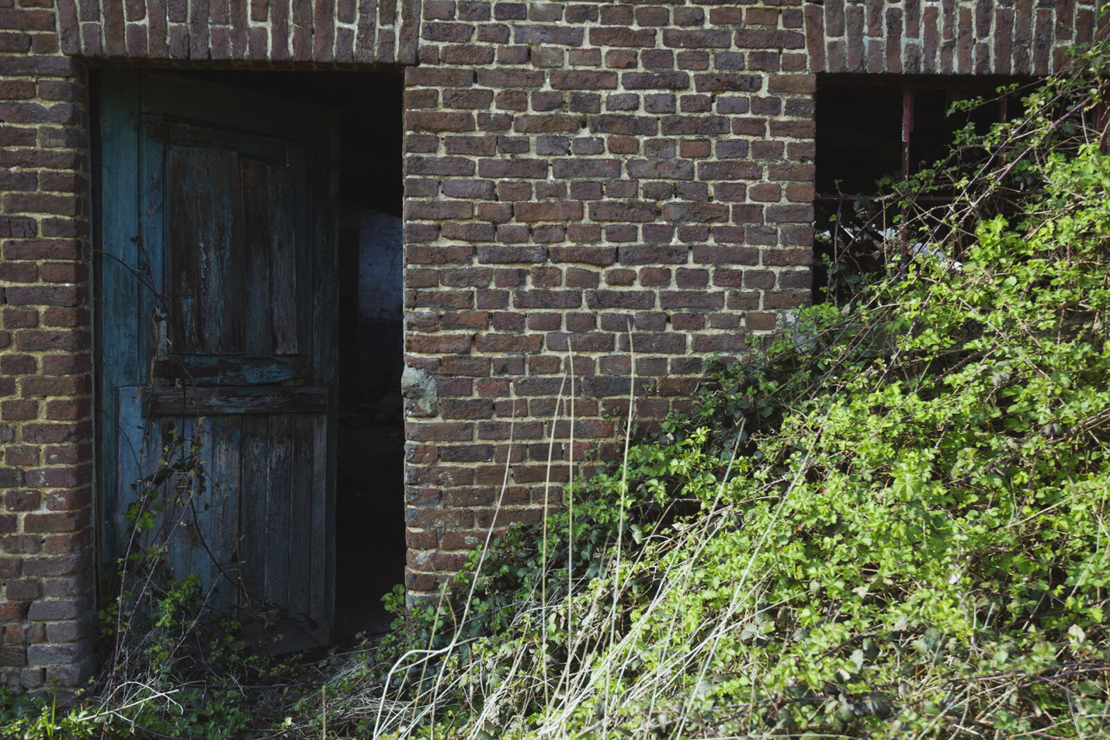 Nikon D7100 sample photo. Abandoned, decay, door, gras photography