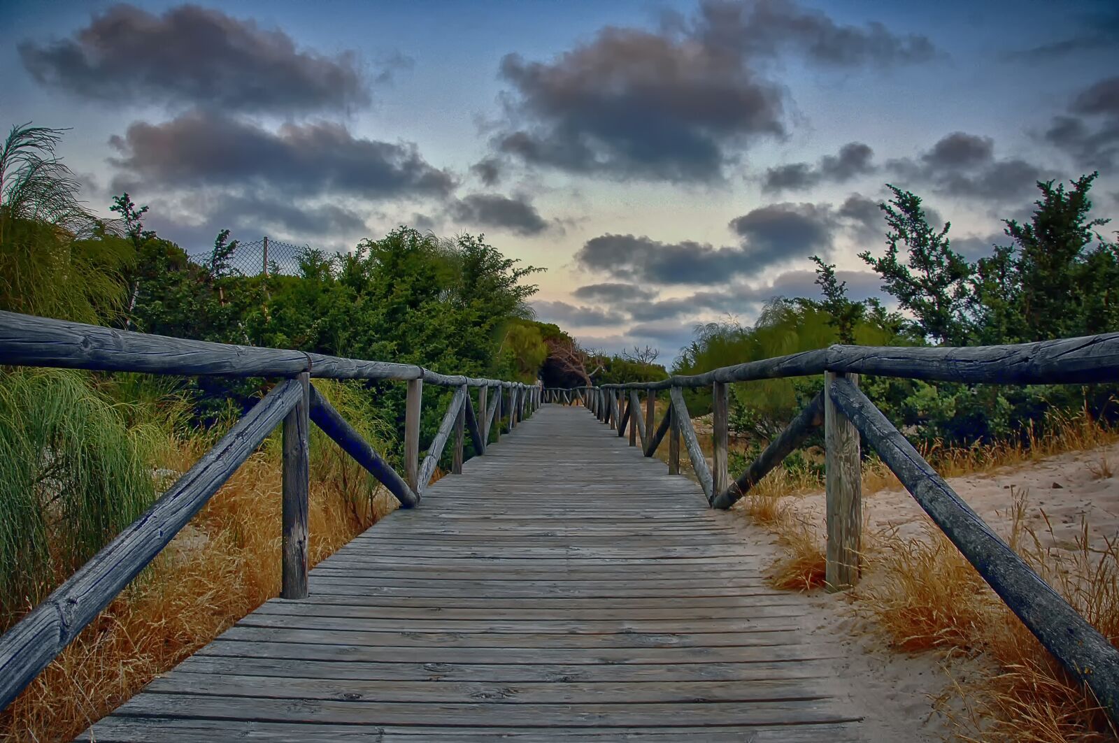 Nikon D2Xs sample photo. Wood, bridge, nature photography