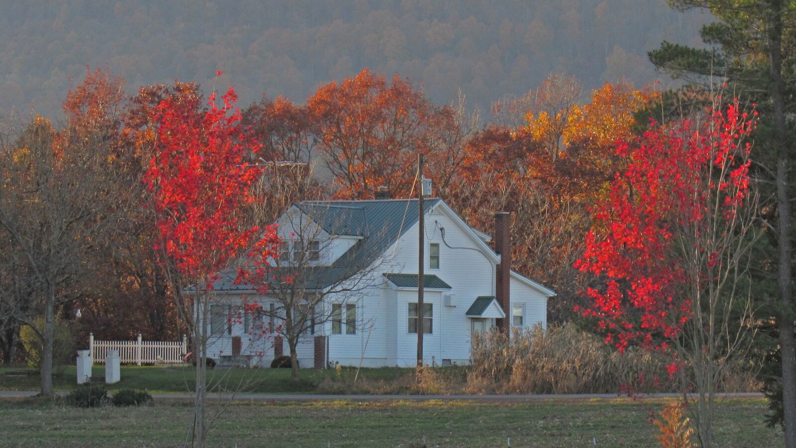 Canon PowerShot SX530 HS sample photo. House, fall, forest photography