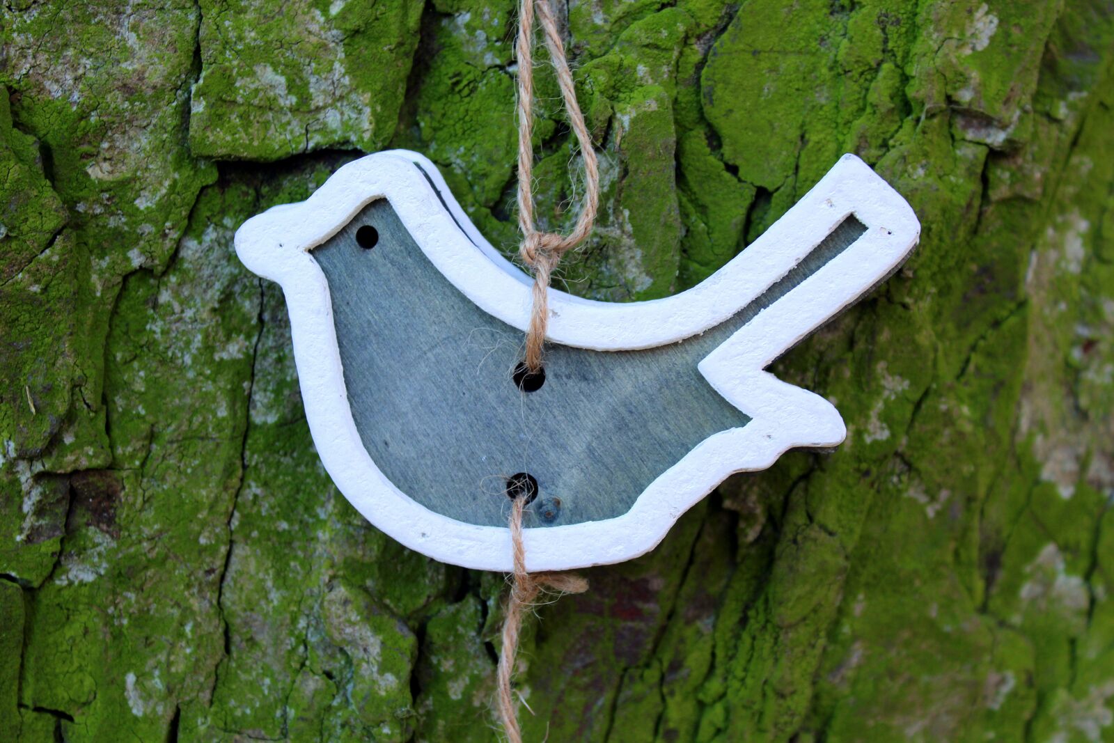 Canon EOS 1200D (EOS Rebel T5 / EOS Kiss X70 / EOS Hi) sample photo. Bird, ornament, pendant photography