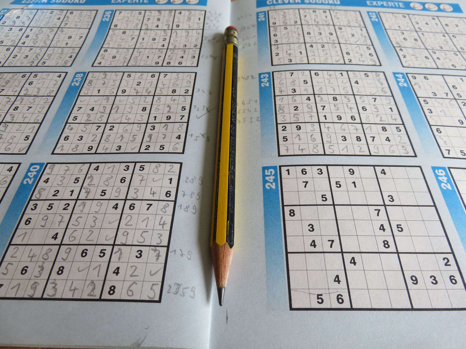 Canon PowerShot SX710 HS sample photo. Leisure, puzzles, sudoku photography