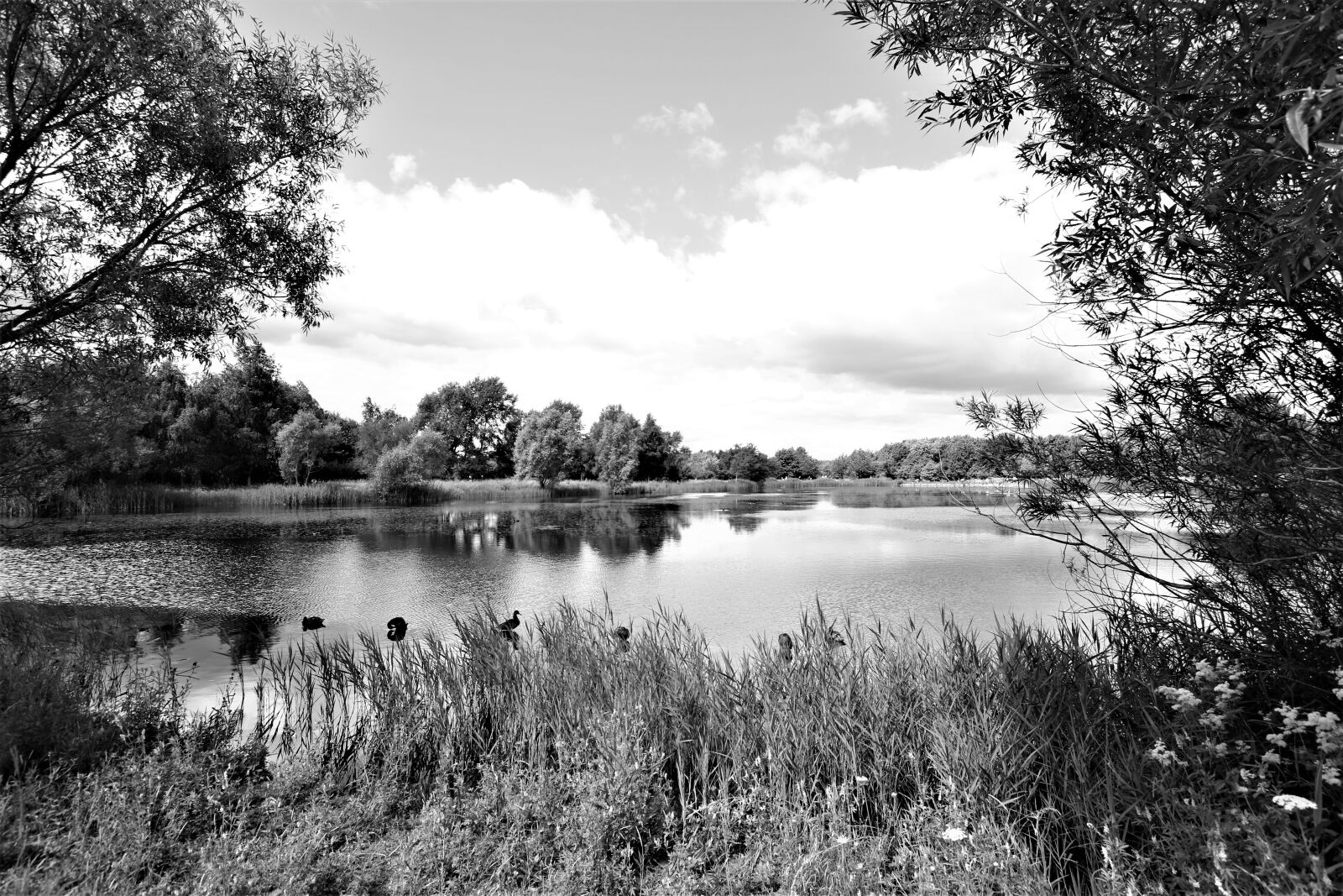 Canon EOS 7D Mark II sample photo. Landscape, lake, nature photography