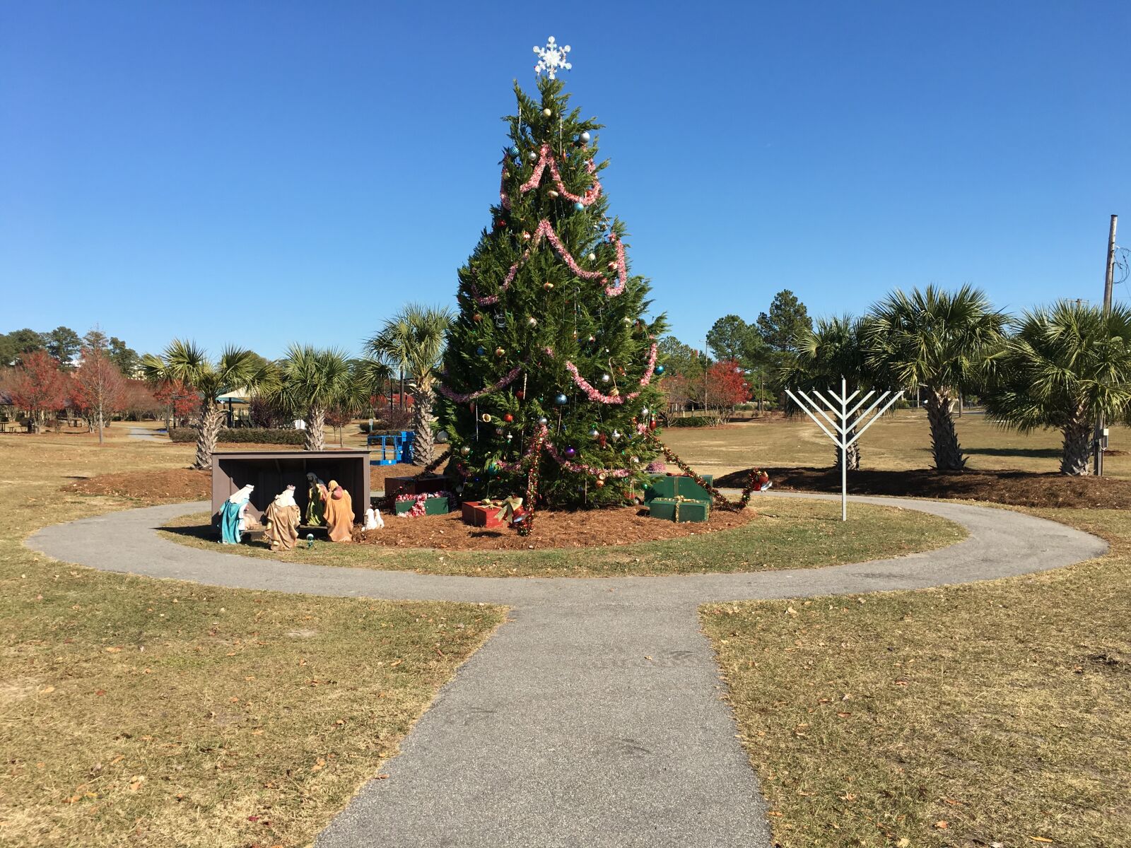 Apple iPhone 6s Plus sample photo. Christmas, christmas, tree, manger photography