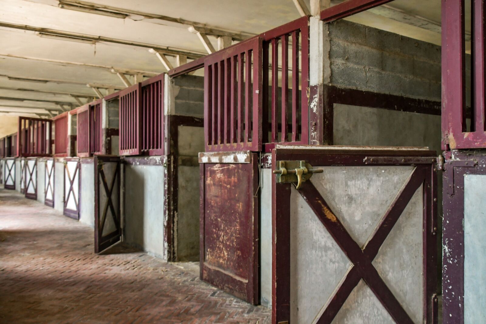Nikon D500 sample photo. Stable, box, horseback riding photography