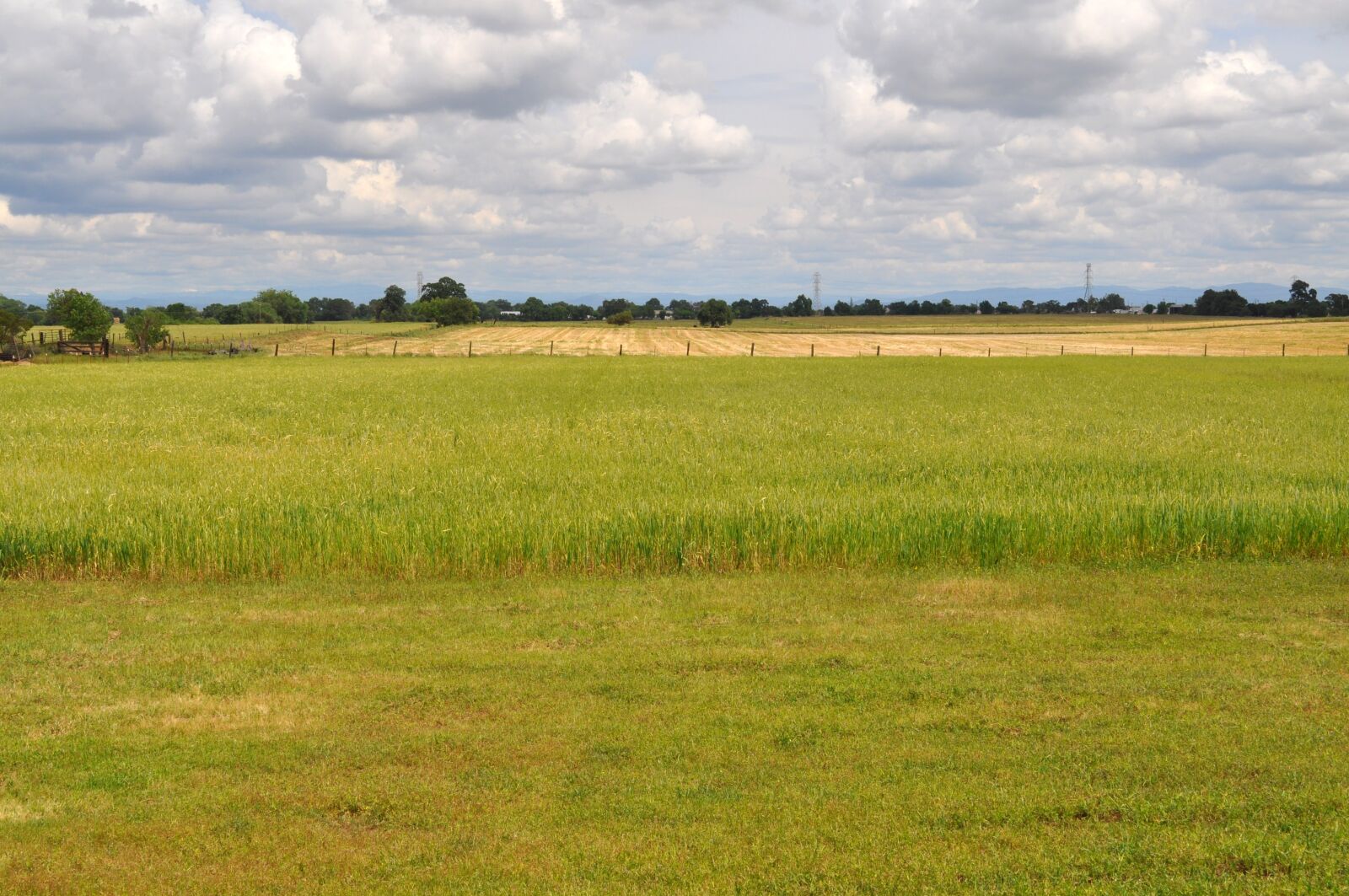 Nikon D5000 sample photo. Country, field, nature photography