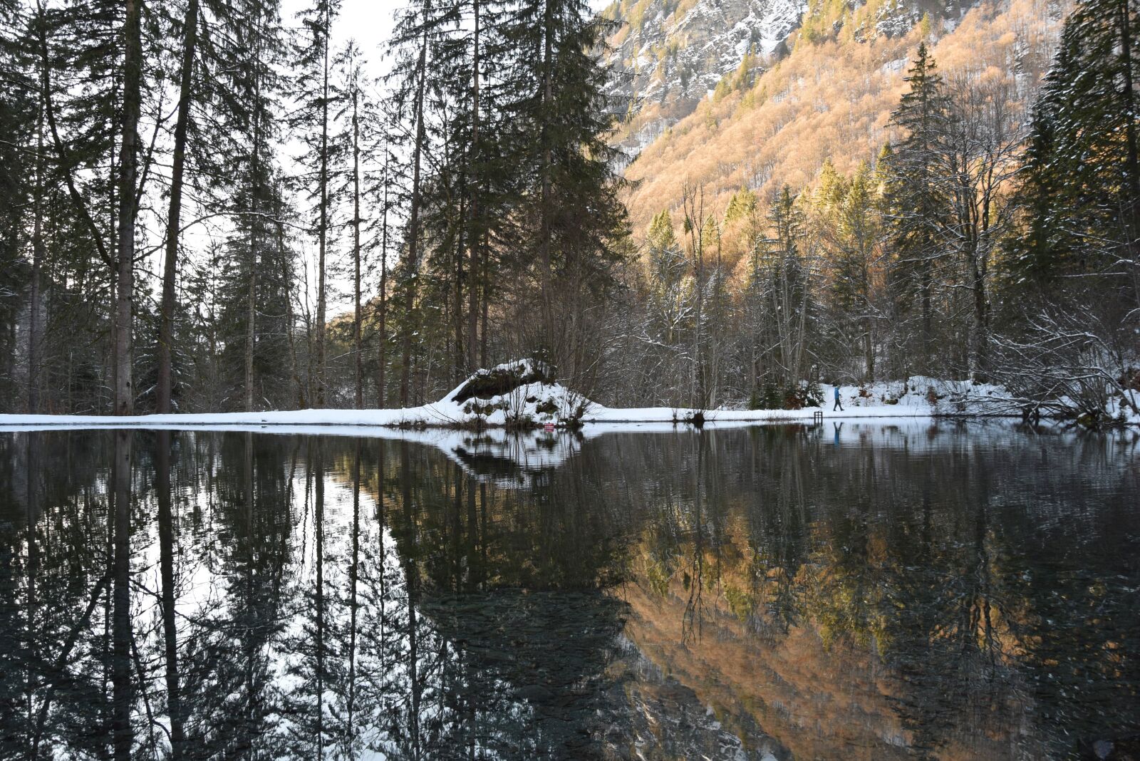 Nikon D3300 sample photo. Reflections, water, forest photography