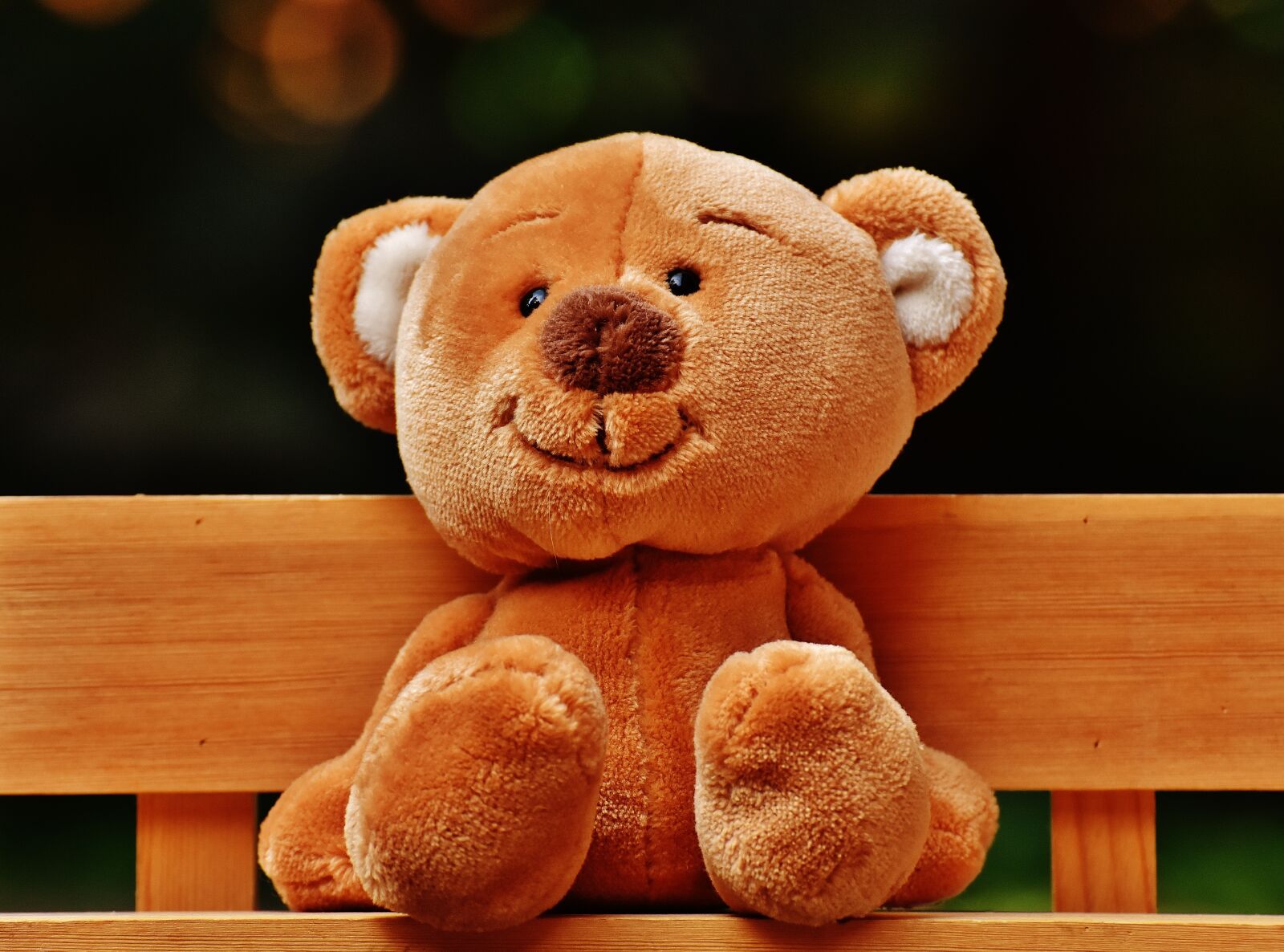 Nikon D7200 sample photo. Teddy, bank, sit photography
