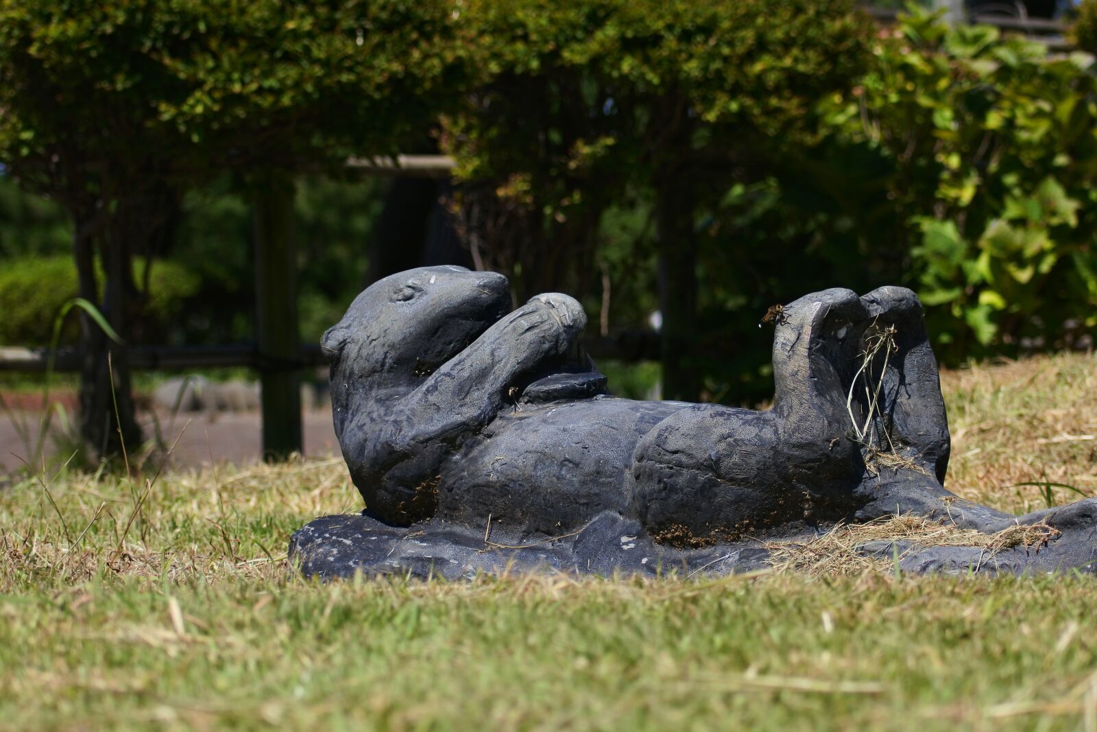 VR 70-300mm f/4.5-6.3G sample photo. Animal, park, trees and photography
