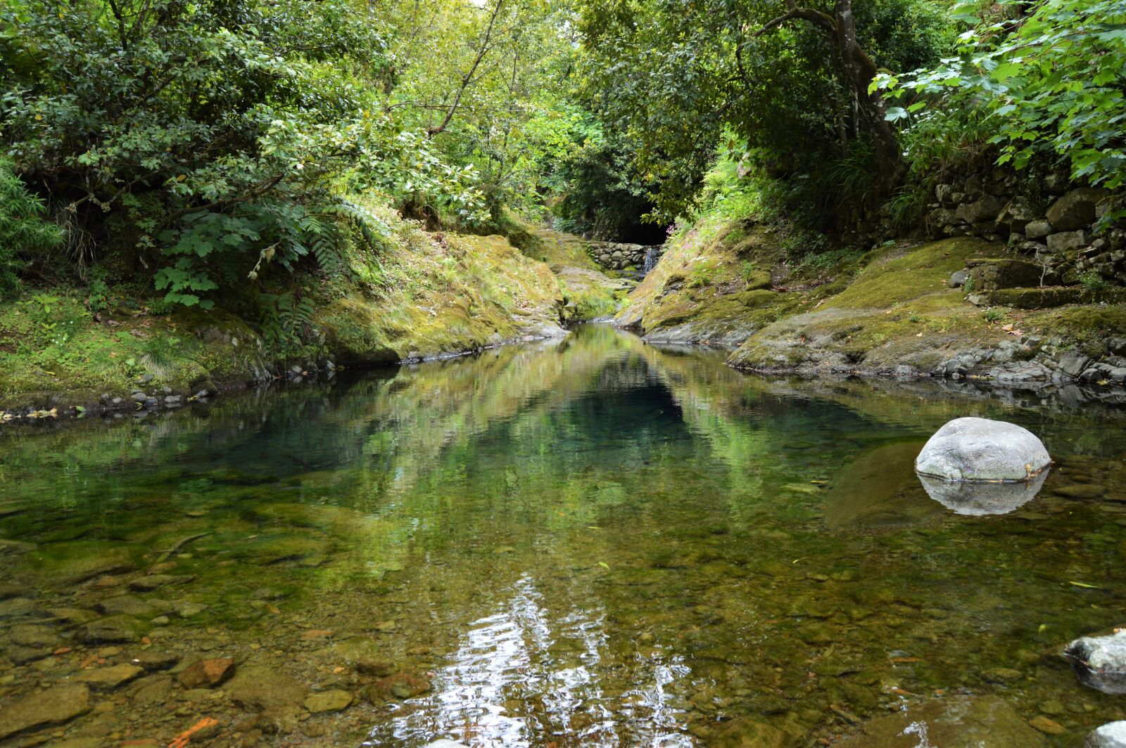 Nikon D3200 sample photo. Nature, forest, beauty photography