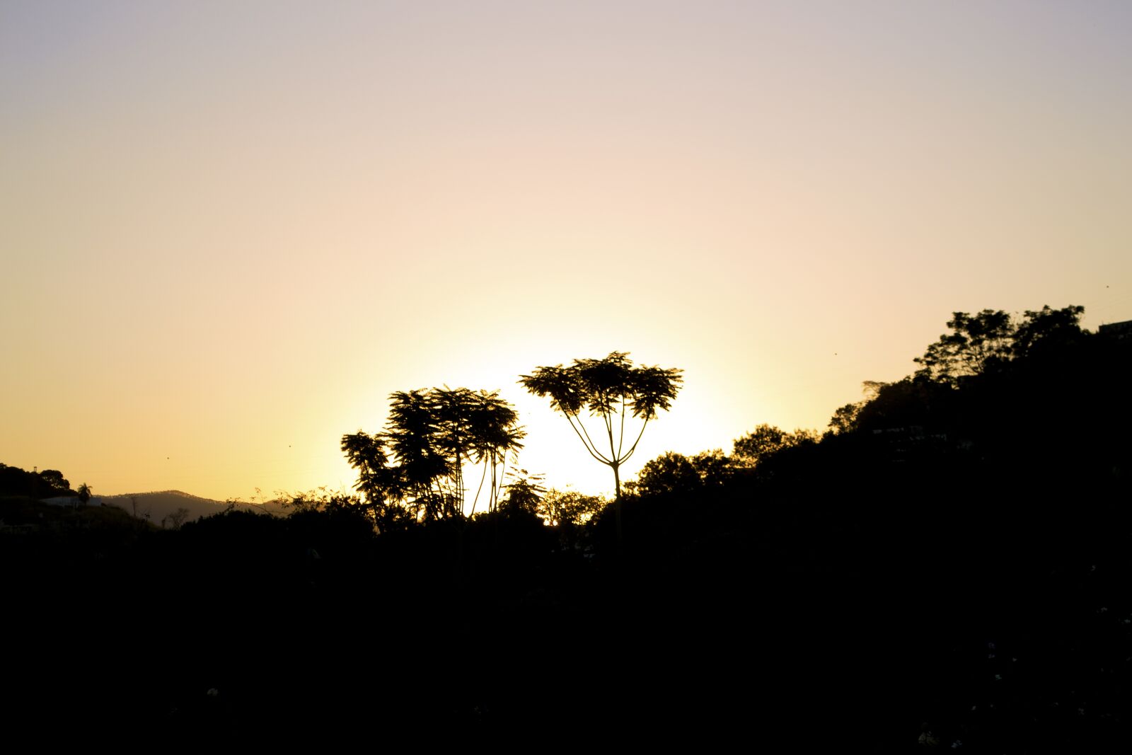 Nikon D3100 sample photo. Tree, sunset, silhouette photography