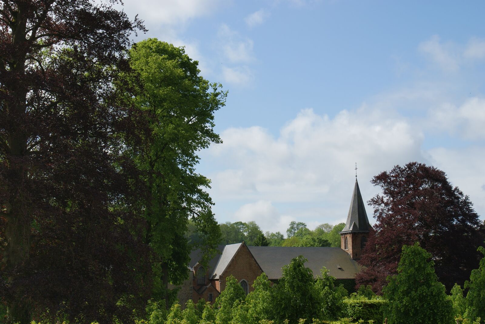 Sony Alpha DSLR-A200 sample photo. Field, belgium, roof photography