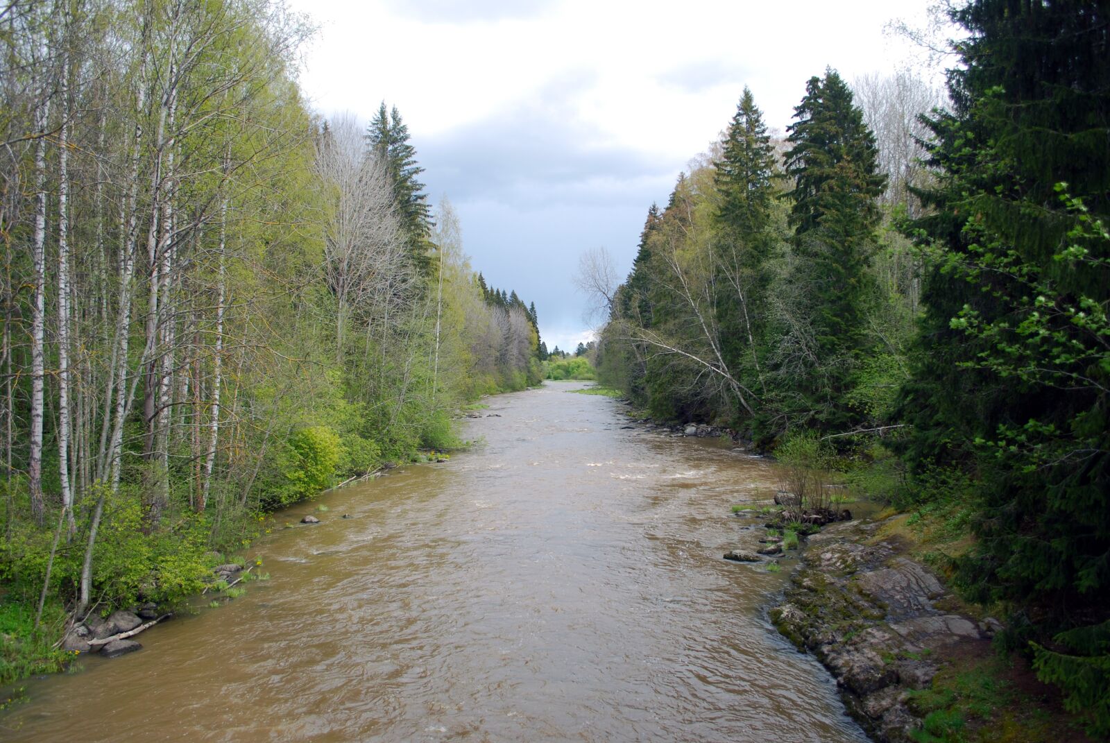 Nikon D60 sample photo. River, finland, brown photography