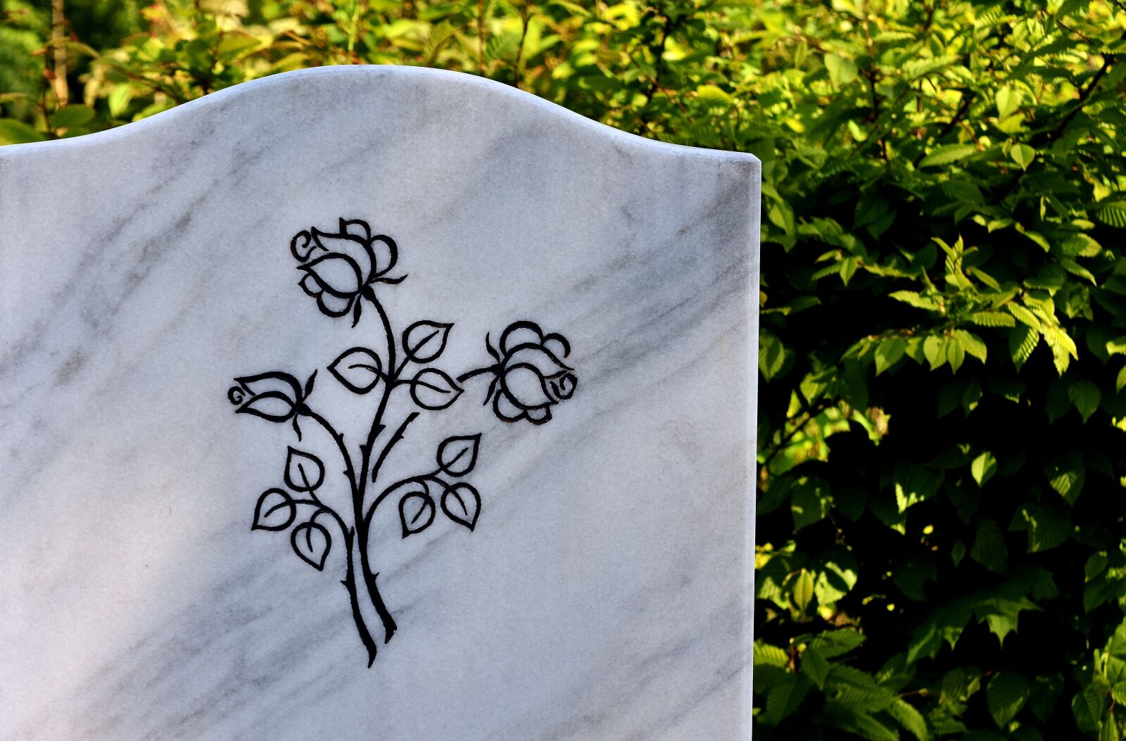 Nikon D7200 sample photo. Marble plathe, tombstone, roses photography