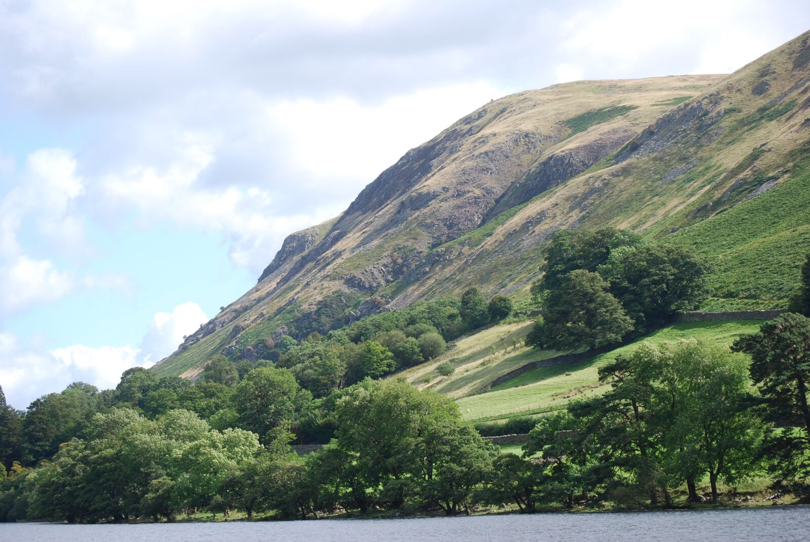 Nikon D60 sample photo. Lake district, hillside, trees photography