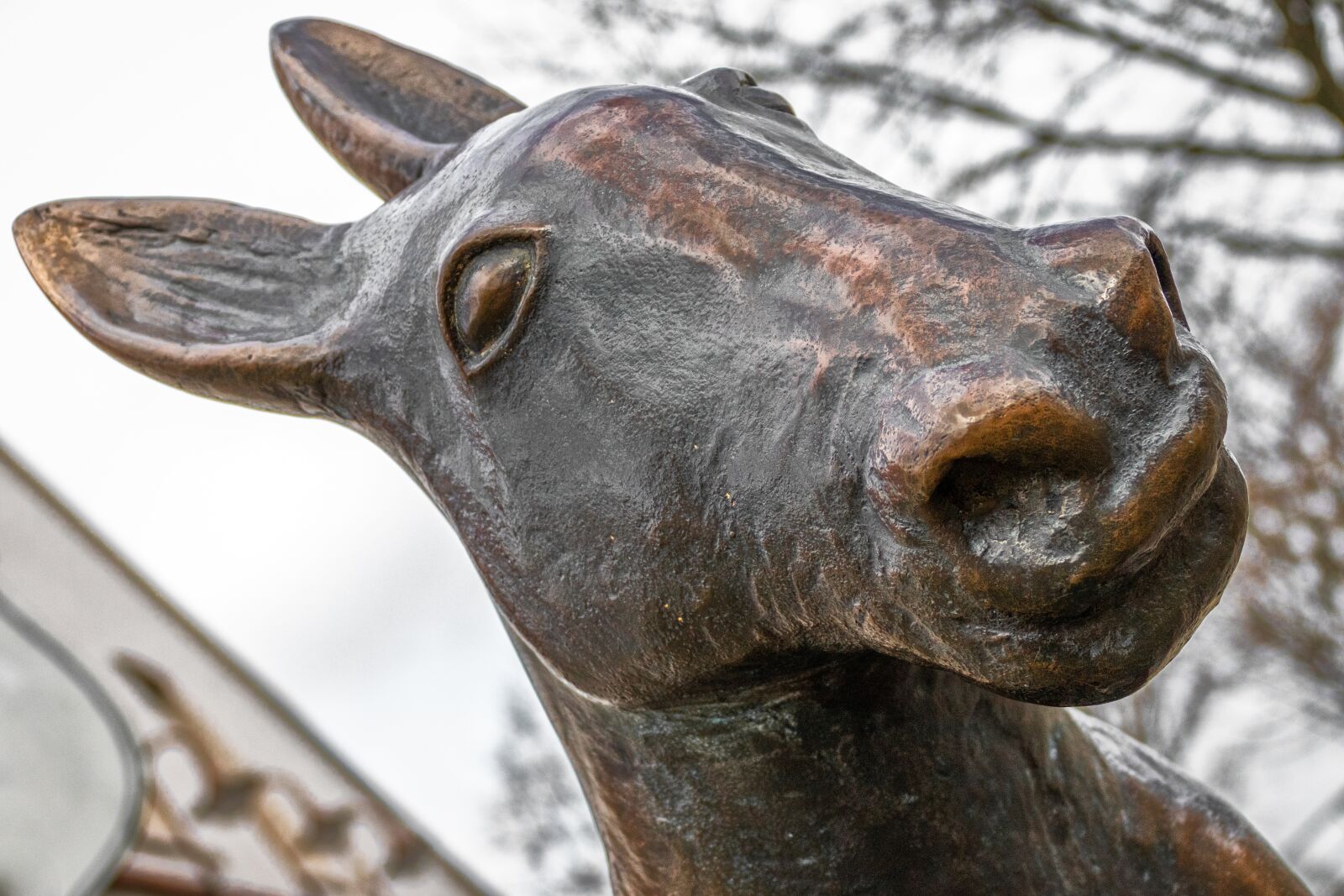 Canon EOS 80D sample photo. Donkey, bronze, metal photography