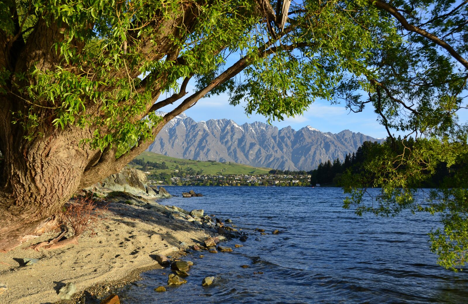 Nikon D7000 sample photo. New zealand, lake wakatipu photography