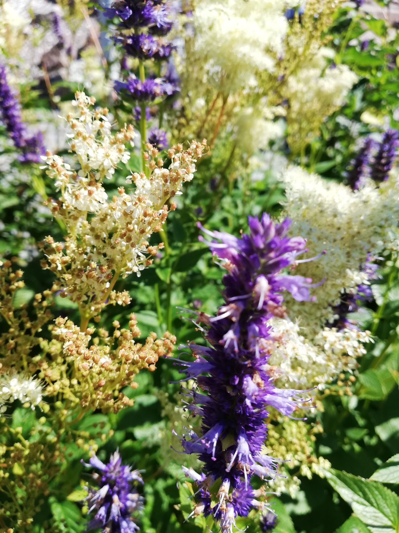 HUAWEI ANE-LX1 sample photo