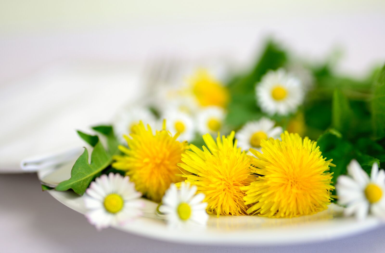 Nikon D610 sample photo. Herbs, edible herbs, natural photography