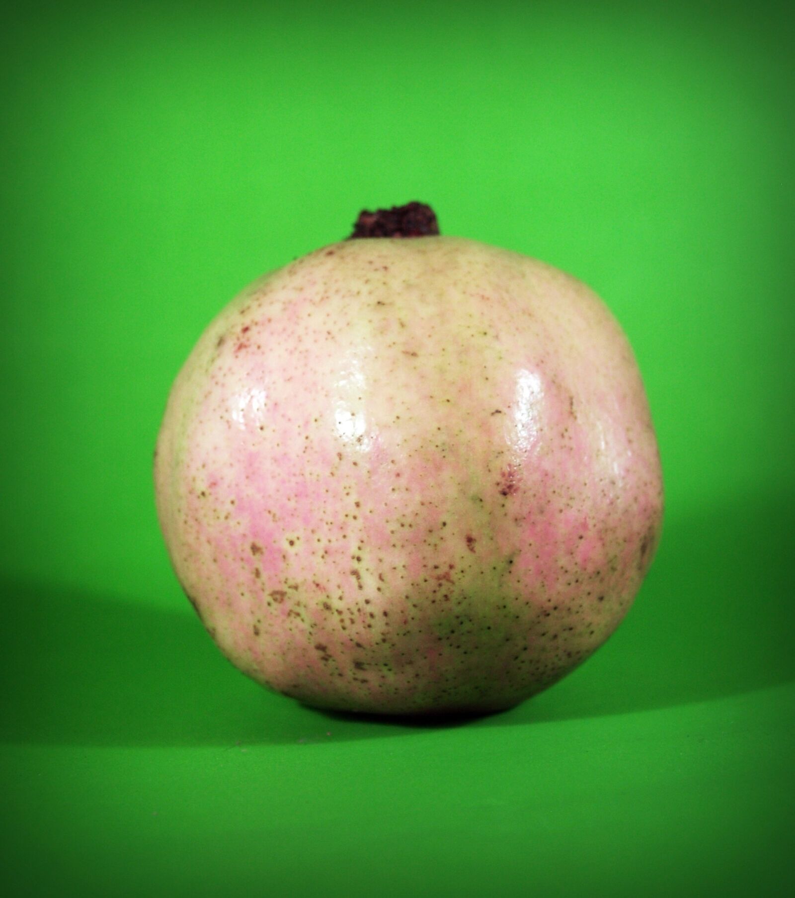 Olympus E-300 (EVOLT E-300) sample photo. Pear, asian, nashi photography