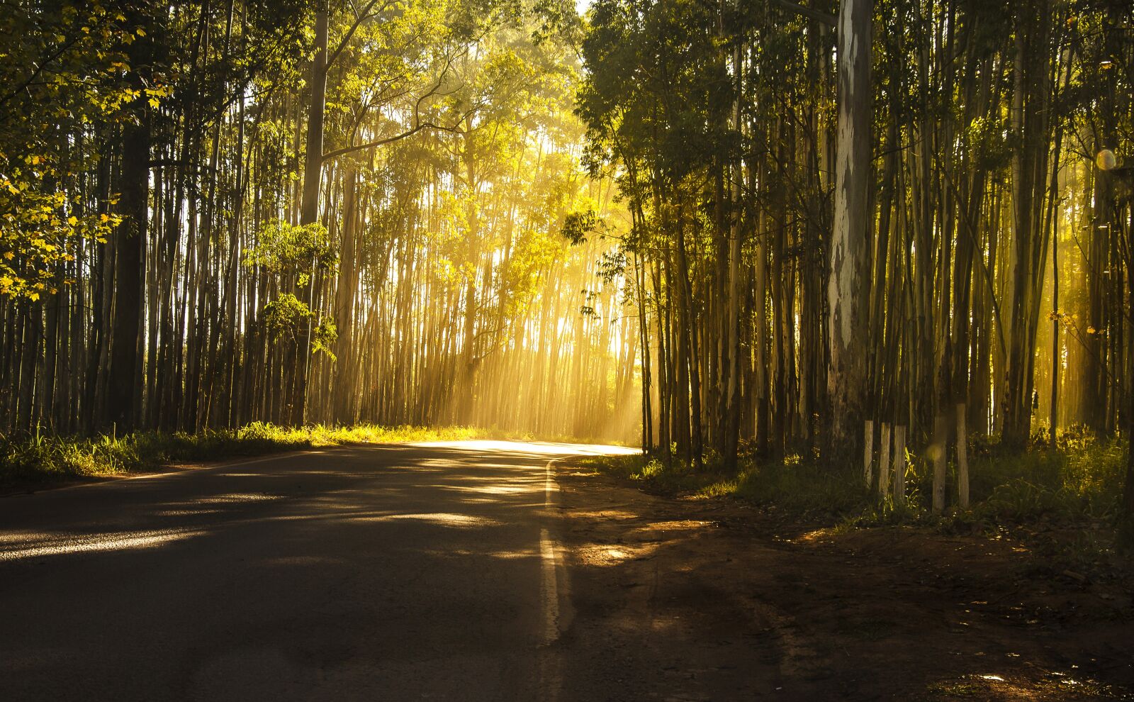 Nikon D7000 sample photo. Landscape, tranquility, sunset photography