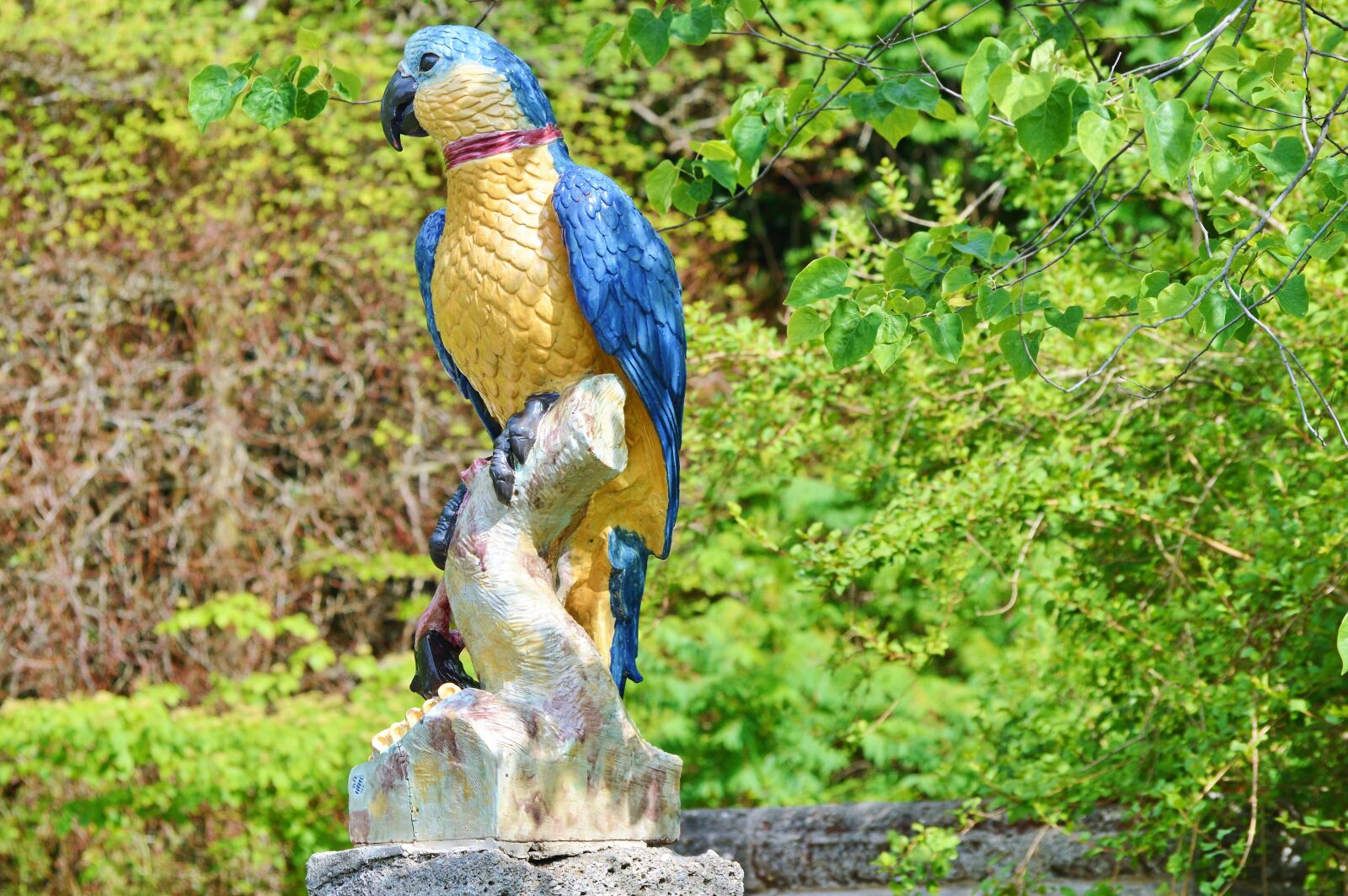 Nikon D3200 sample photo. Parrot, figure, deco photography