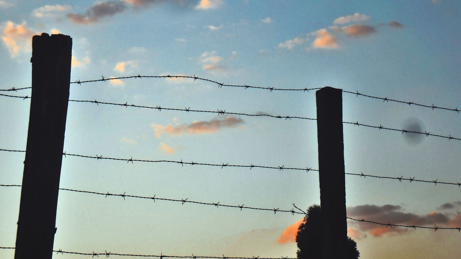 Samsung ES90/ ES91 sample photo. Barbed, wire, gate photography