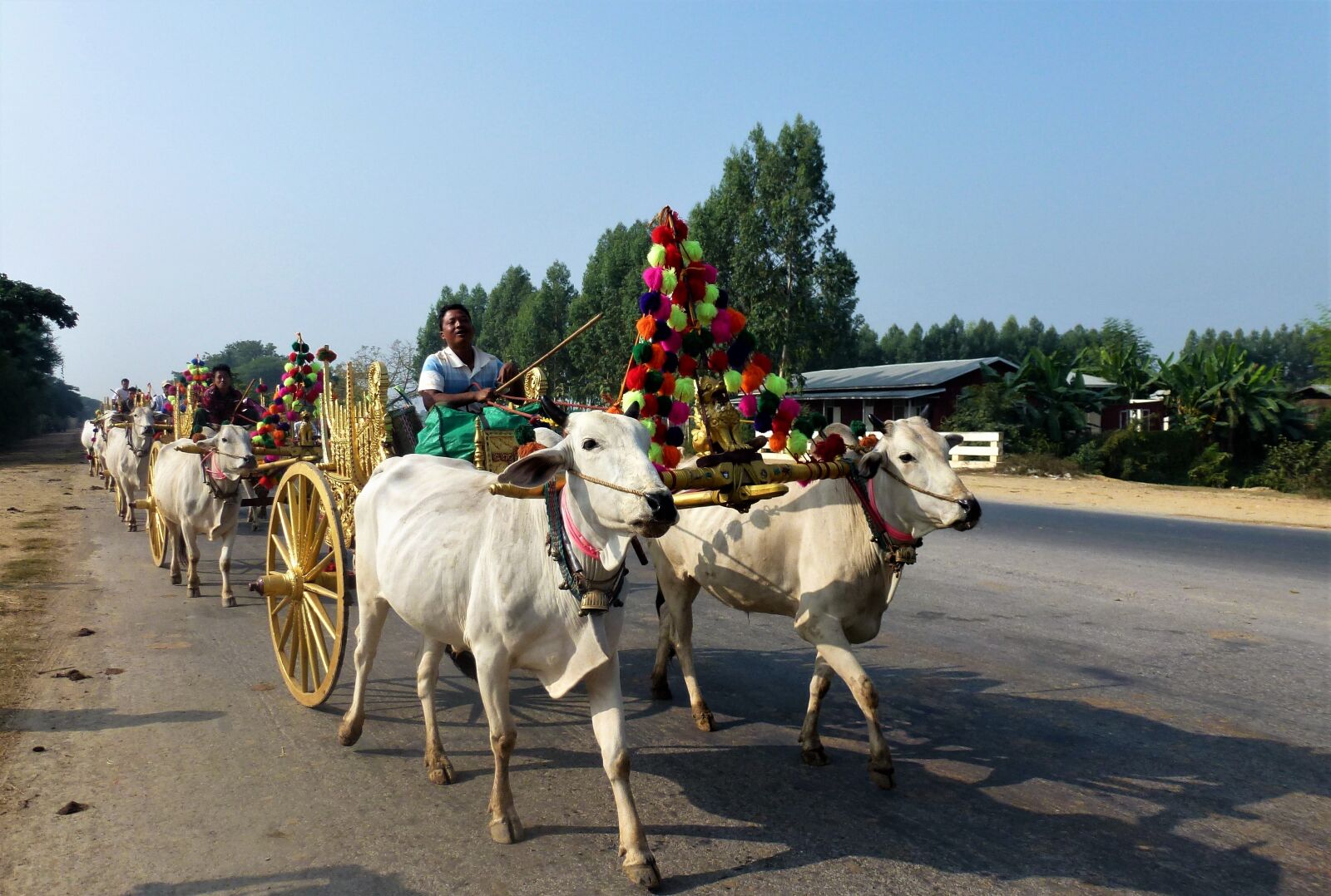 Panasonic Lumix DMC-ZS10 (Lumix DMC-TZ20 / Lumix DMC-TZ22) sample photo. Transport, burma, religion char photography