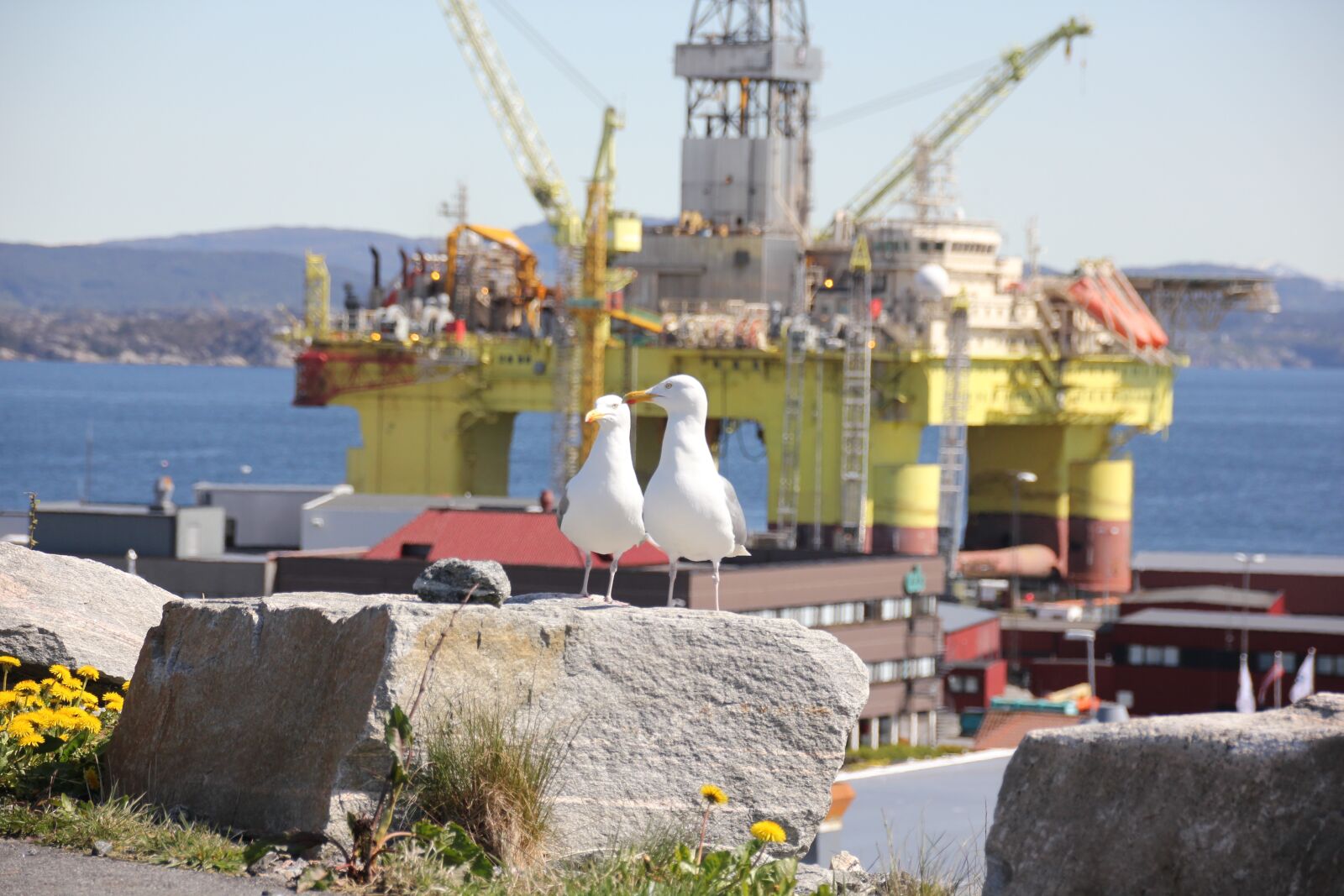 Canon EOS 550D (EOS Rebel T2i / EOS Kiss X4) sample photo. Platform, oil, rig photography