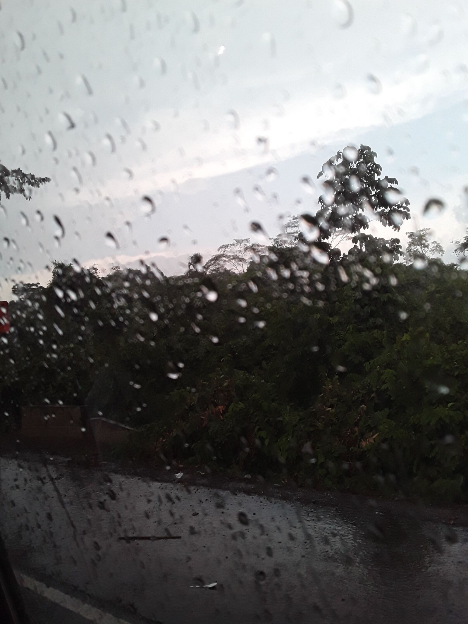 Samsung Galaxy J2 Core sample photo. Lluvia, naturaleza, vidrio photography