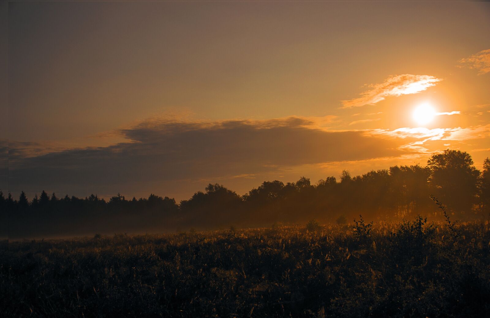 Canon EOS 550D (EOS Rebel T2i / EOS Kiss X4) sample photo. Sunrise, landscape, sun photography