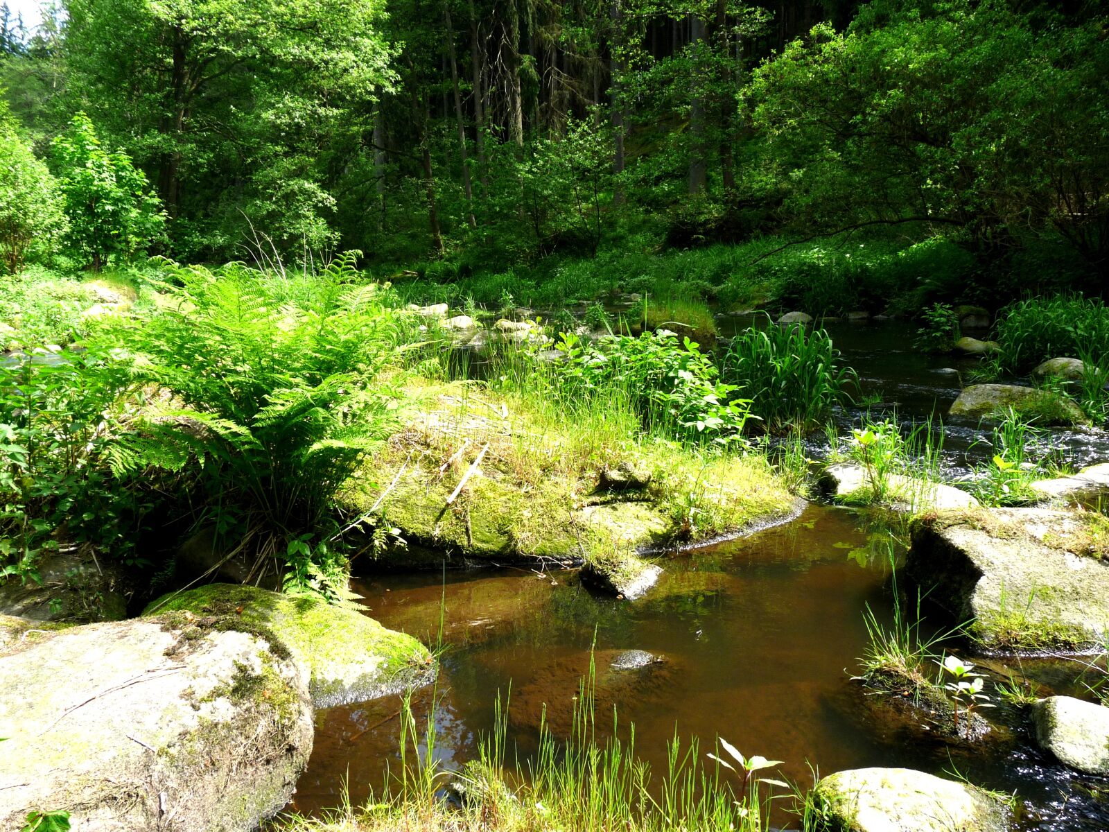 Panasonic Lumix DMC-FZ28 sample photo. Fichtelgebirge, eger, river photography