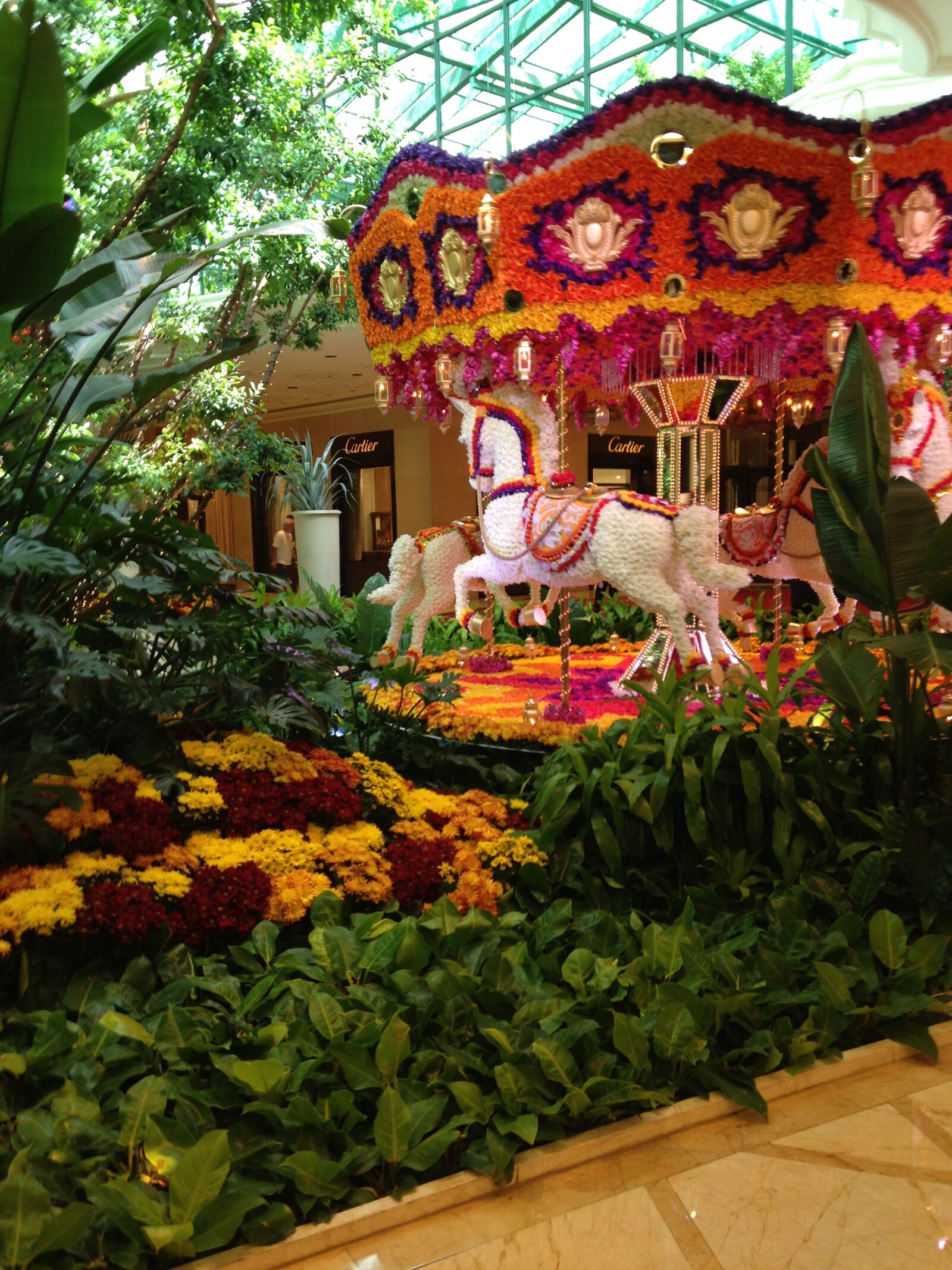 iPhone 5c back camera 4.12mm f/2.4 sample photo. Las vegas, flowers, nevada photography