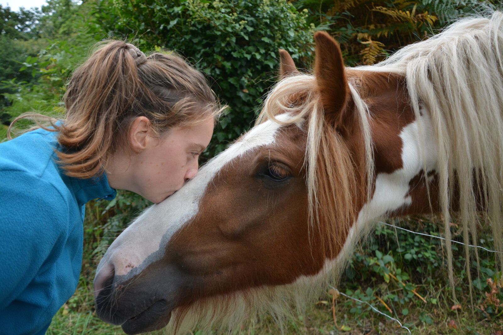 Nikon D5200 sample photo. Kiss, kisses, horse photography