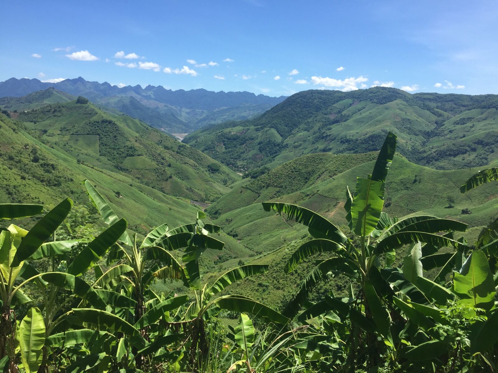 Apple iPhone 6 sample photo. Vietnam, mountains, palms photography