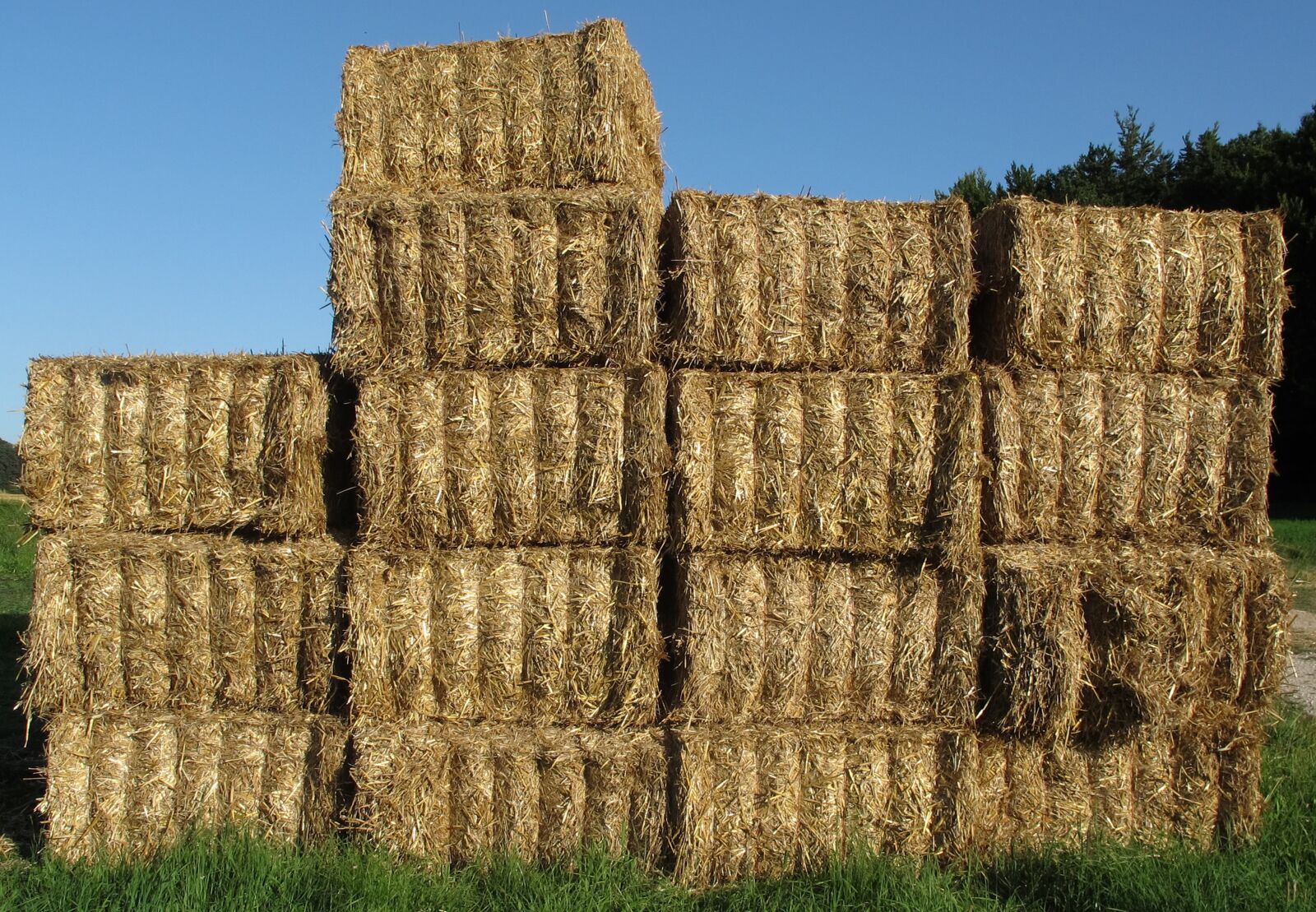 Canon PowerShot G12 sample photo. Straw, straw bales, bale photography