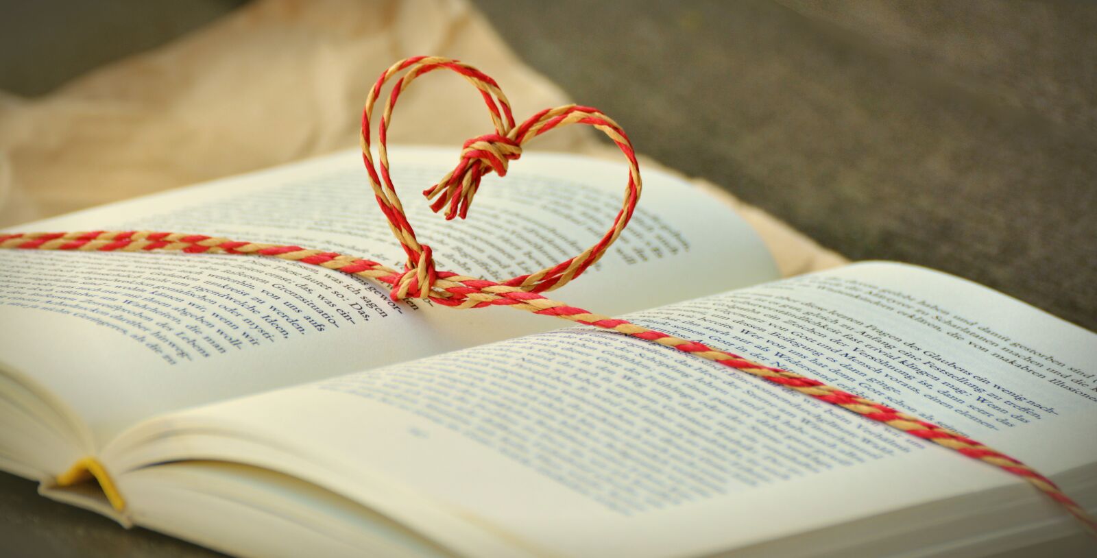 Nikon D5200 sample photo. Book, book gift, by photography