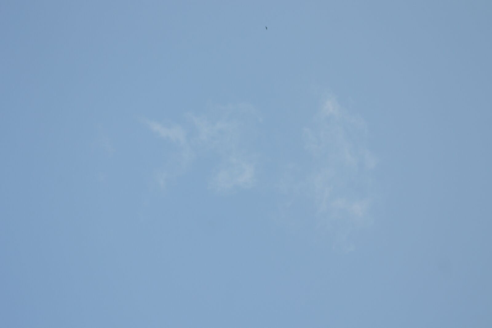 Nikon D3100 sample photo. Sky, cloud, blue photography